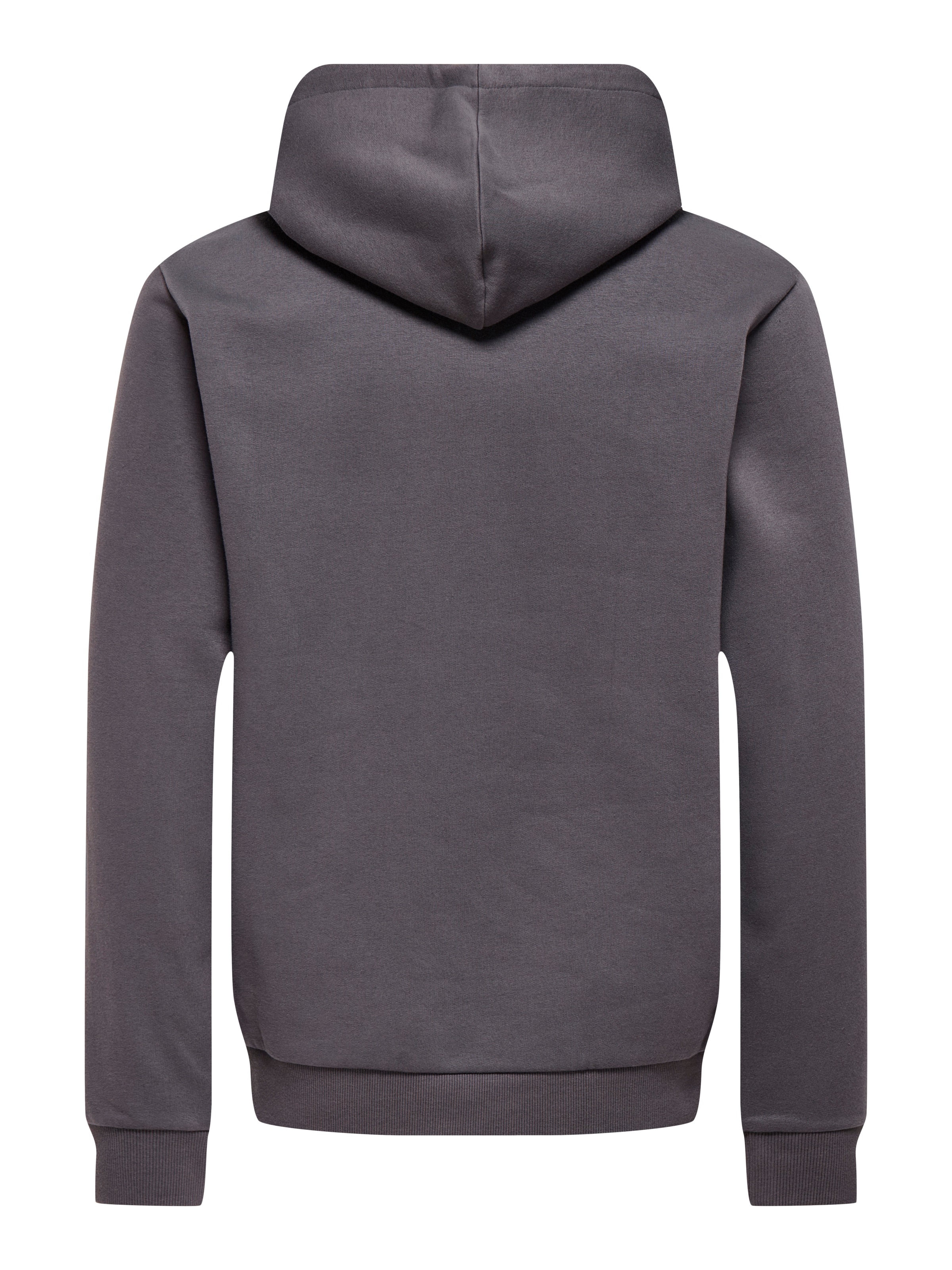 ONLY & SONS Sweat à capuche »ONSCERES HOODIE SWEAT NOOS«, Baumwollmischung, regular fit
