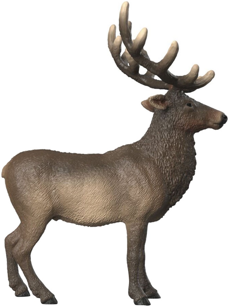 Schleich® Personnage de jeu »WILD LIFE, Amerikanischer Rothirsch (14992)«