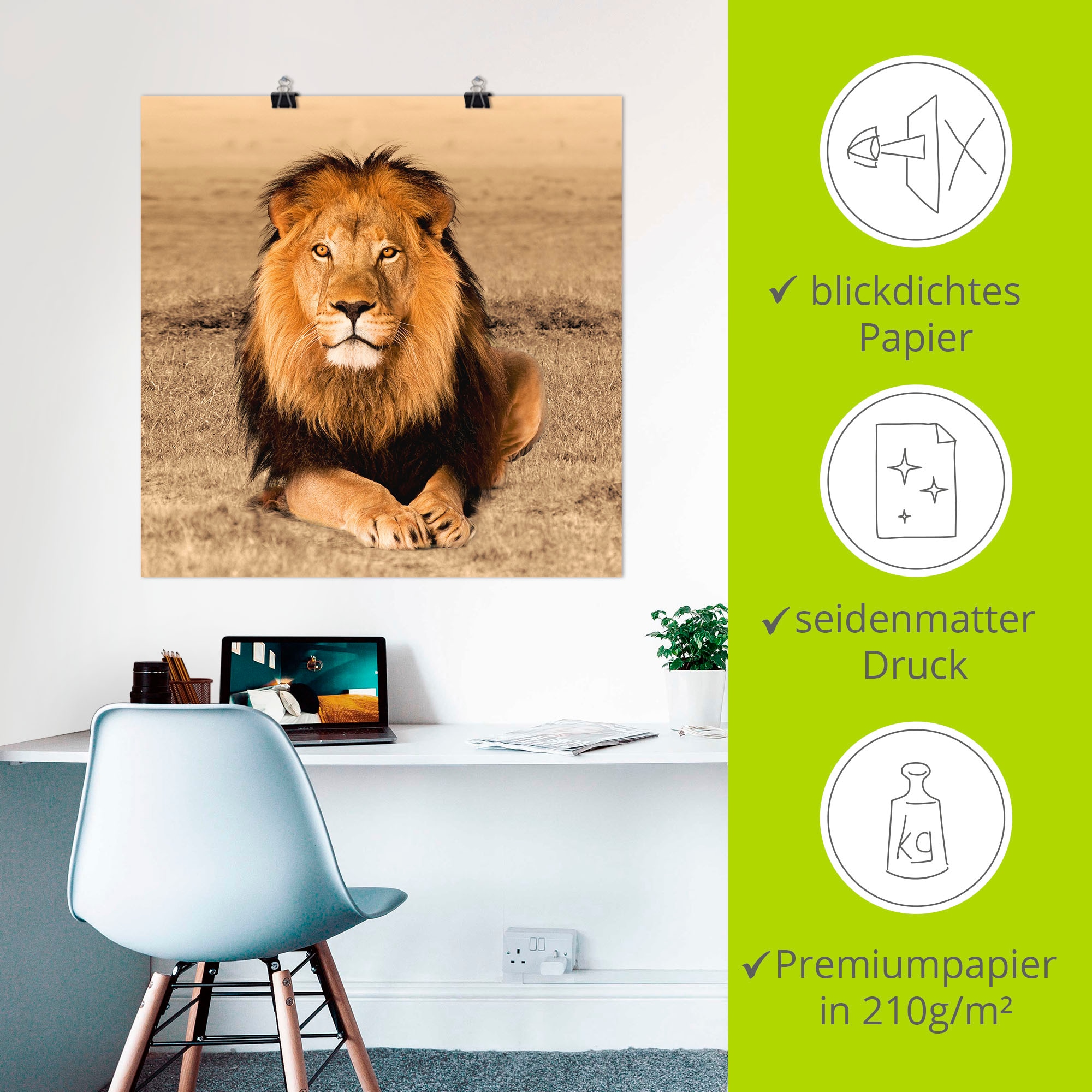Artland Fresque murale »Löwe« 1 cuis tlg. als Alubild, Outdoorbild, Leinwandbild, Poster, Wandaufkleber