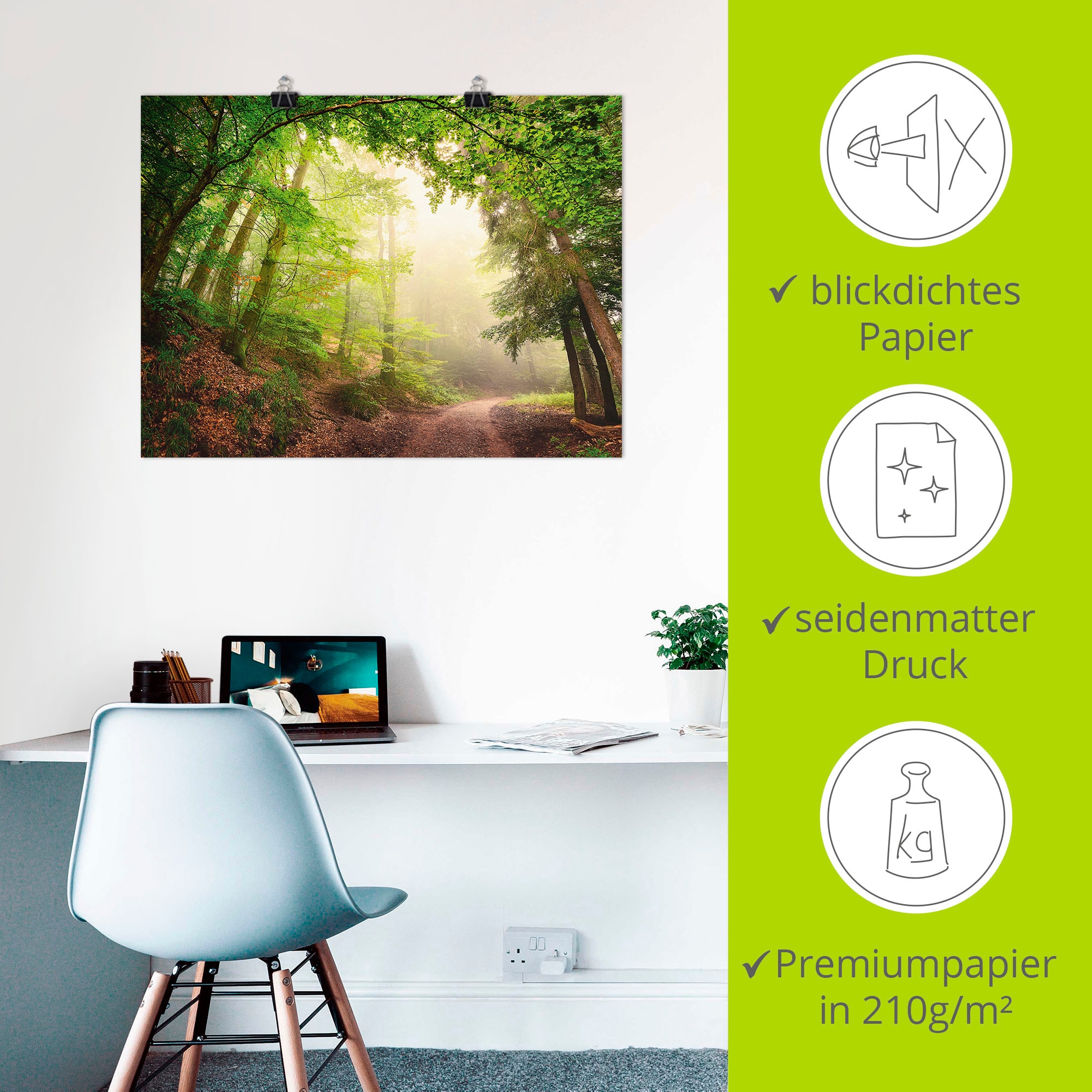 Artland Fresque murale »Natürliche Torbögen durch Bäume« 1 cuis tlg. als Alubild, Poster in verschied. Grössen