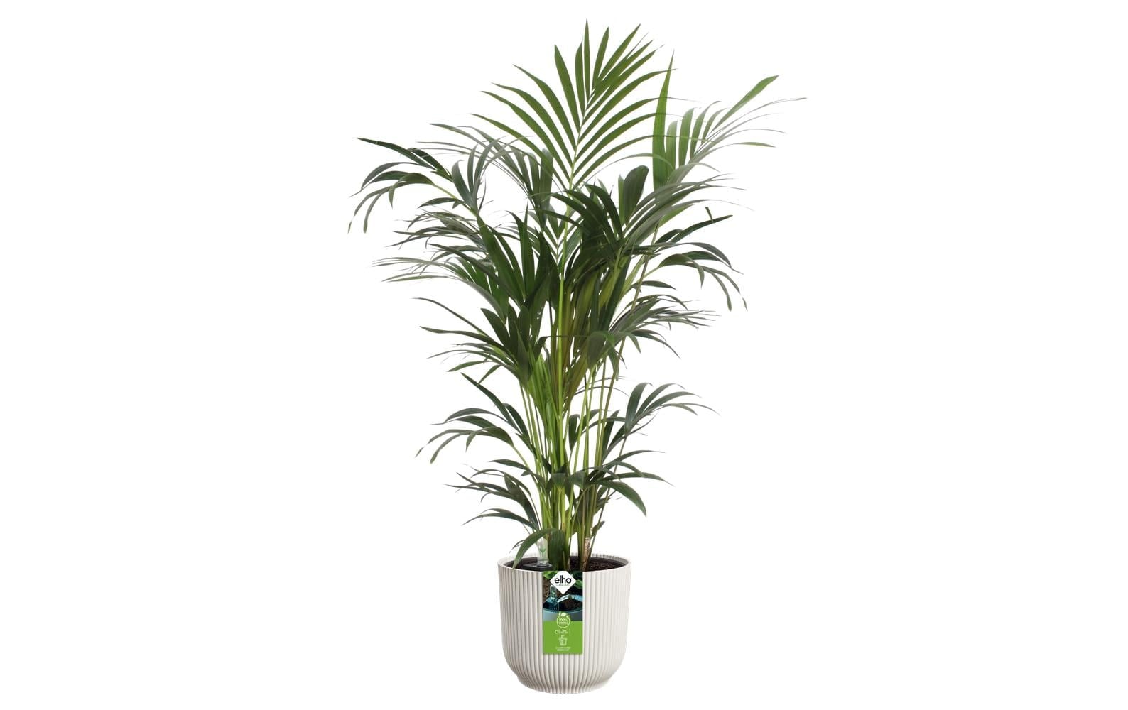 Elho Pot de fleurs »All-in-1 Vibes Rund«