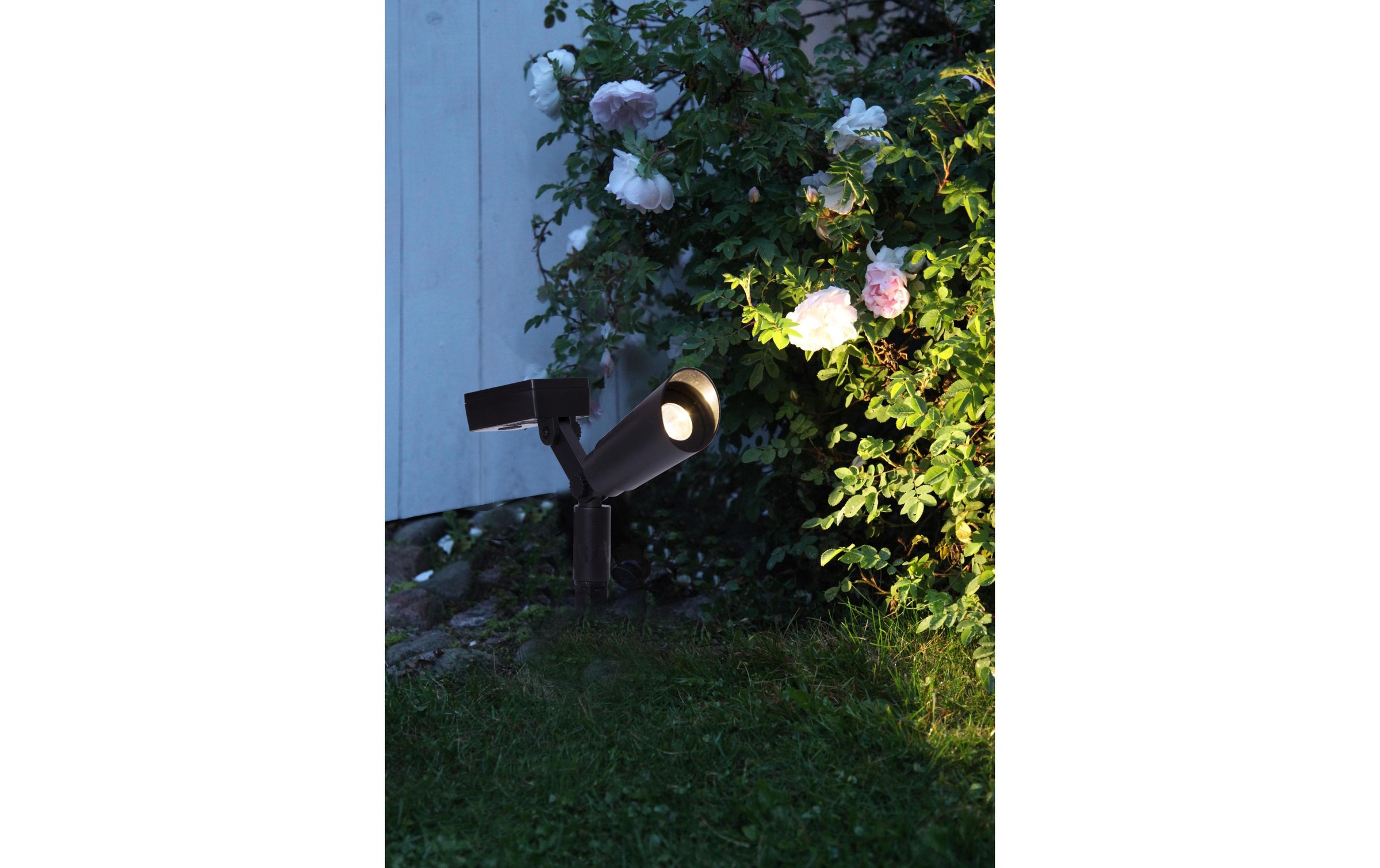 Parforce Traditional Hunting Lampe solaire à LED »Solar Powerspot 2 Stück« blanc chaud