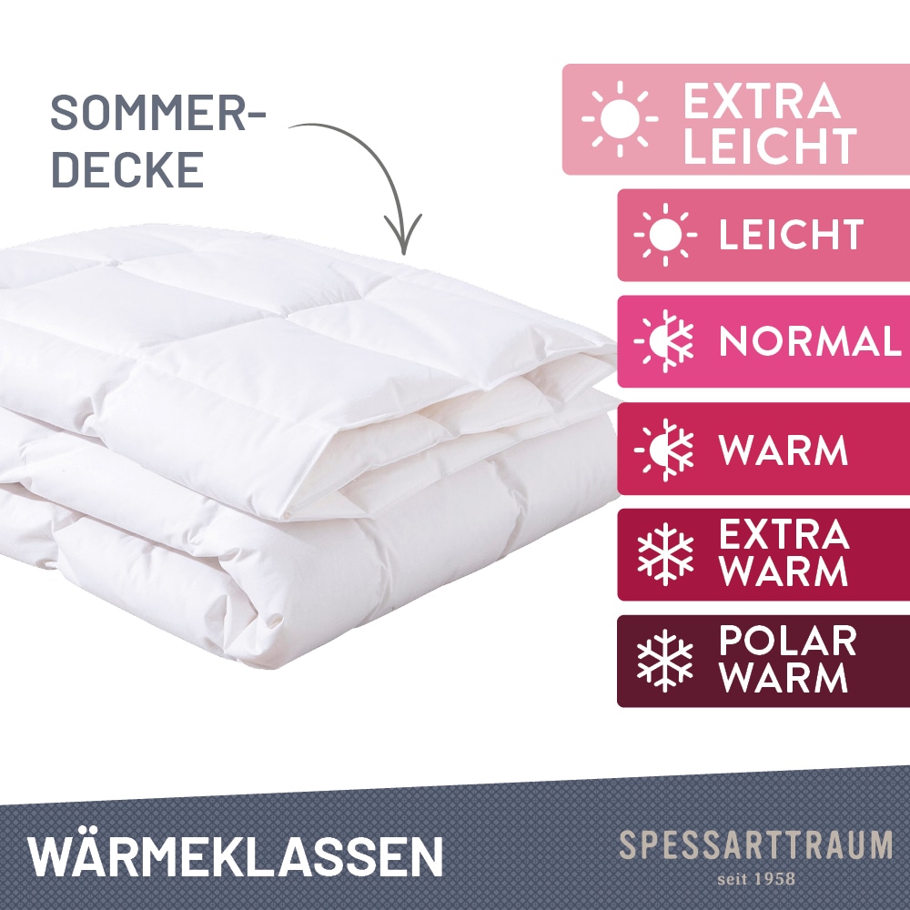 SPESSARTTRAUM Couette en duvet »Laax Bettdecke 135x200, 155x220 cm und  viele weitere Grössen« ultra-léger Füllung 100 % duvet 1 cuis tlg. couettes, couette toutes saisons, hiver, été