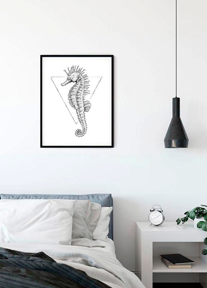 Komar Image »Sea Horse White« Animaux 1 cuis tlg. tableau mural décoratif - sans cadre