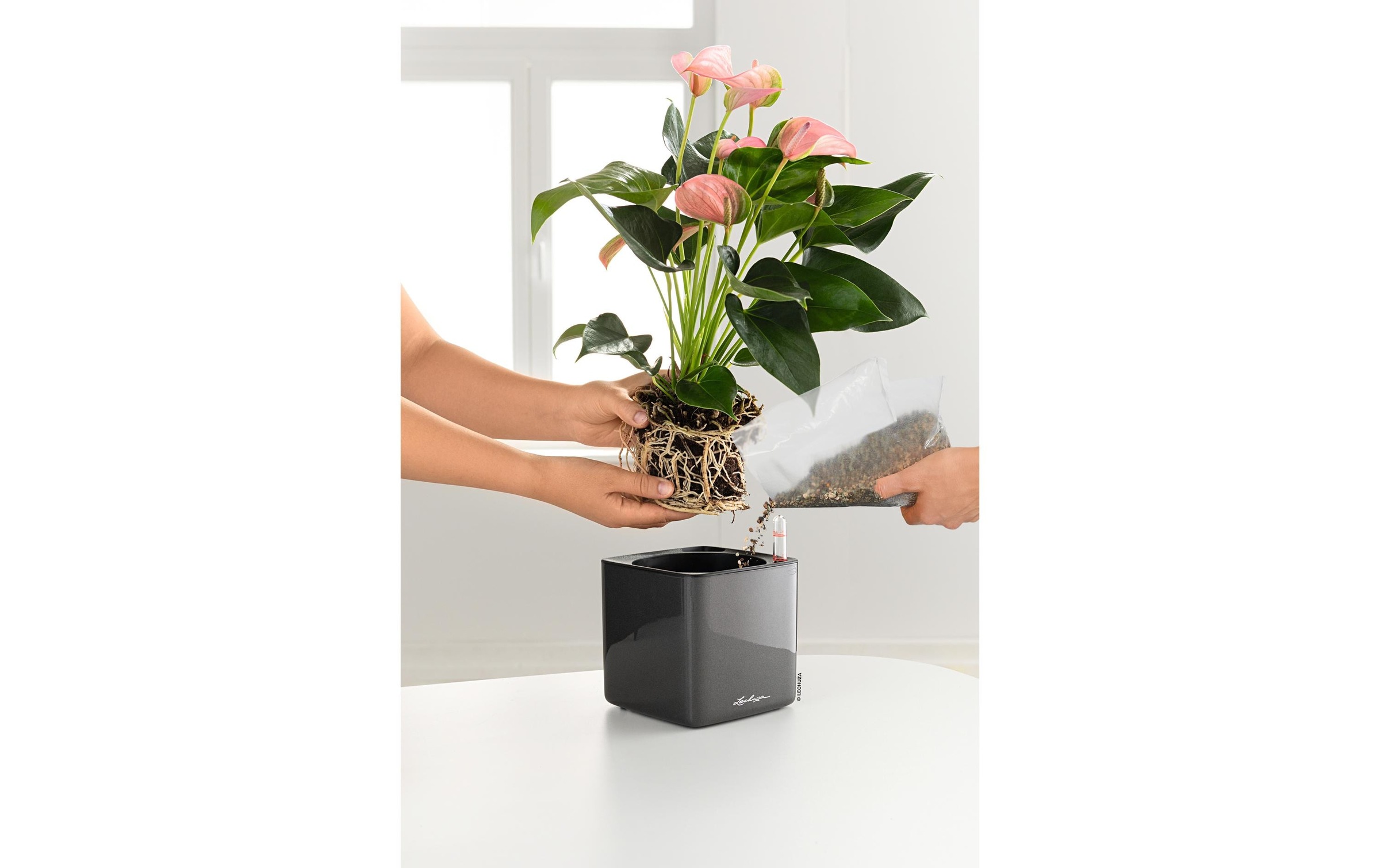   Pot de fleurs »Lechuza CUBE Glossy 14«
