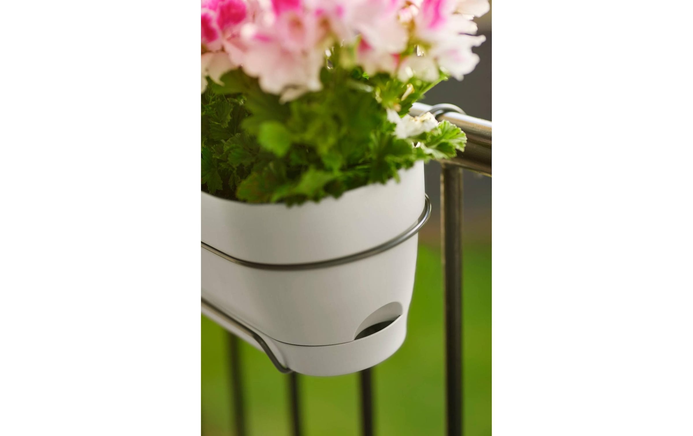 Elho Pot de fleurs »Vibia Campana Balkonkasten Allin1 50 cm«