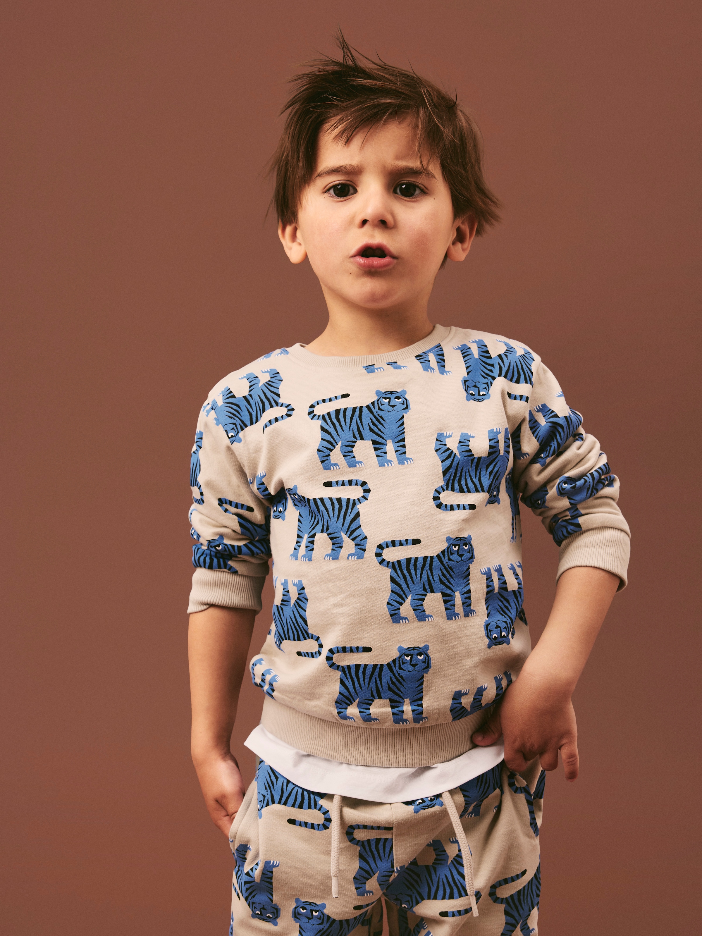 Name It 1100000002199 »NMMLARSON LS NREG SWE BRU«, Baumwolle, regular fit
