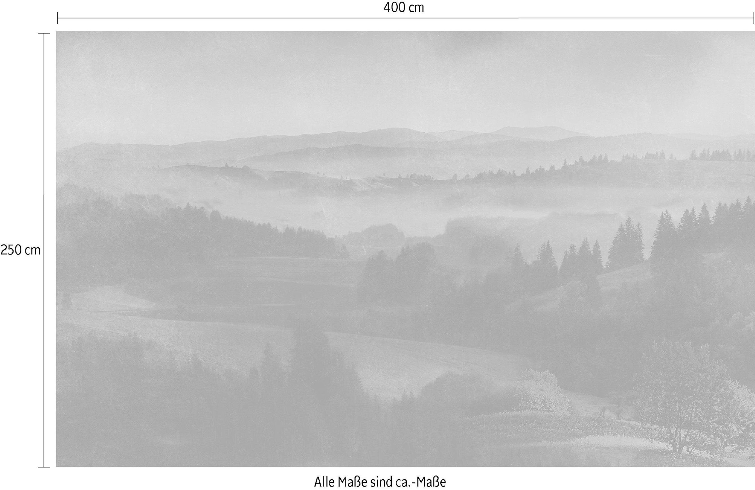 Komar Papier peint intissé »Digitaldruck Vlies -  Twilight - Grösse 400 x 250 cm« imprimé Wohnzimmer, Schlafzimmer