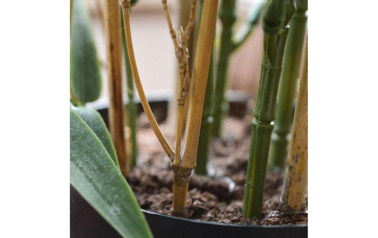 Botanic-Haus Fleur artificielle »Bambus Japanisch, UV-Bestand.«