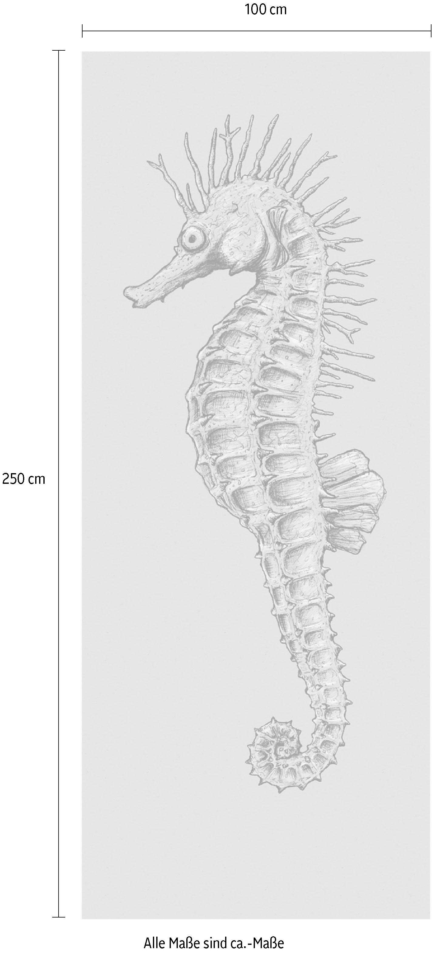 Komar Vliestapete »Digitaldruck Vlies -  Seahorse Panel - Grösse 100 x 250 cm« bedruckt glatt Wohnzimmer, Schlafzimmer