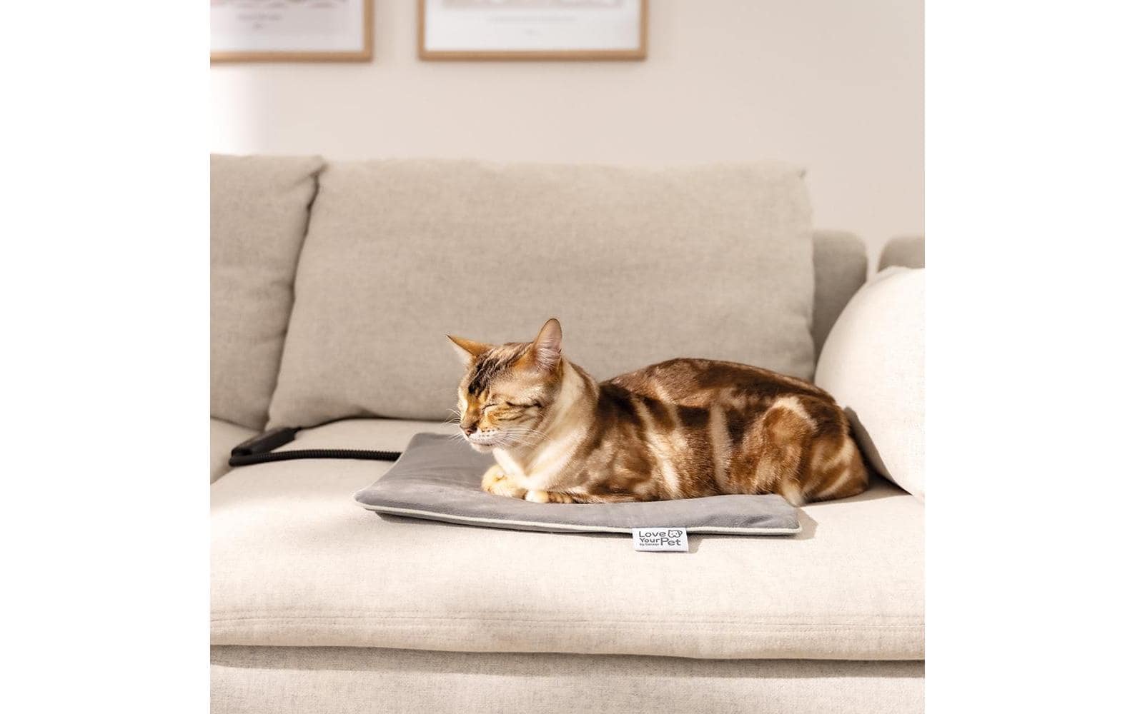   Couverture pour animaux »Love Your Pet by Beurer Heizmatte Lilli«