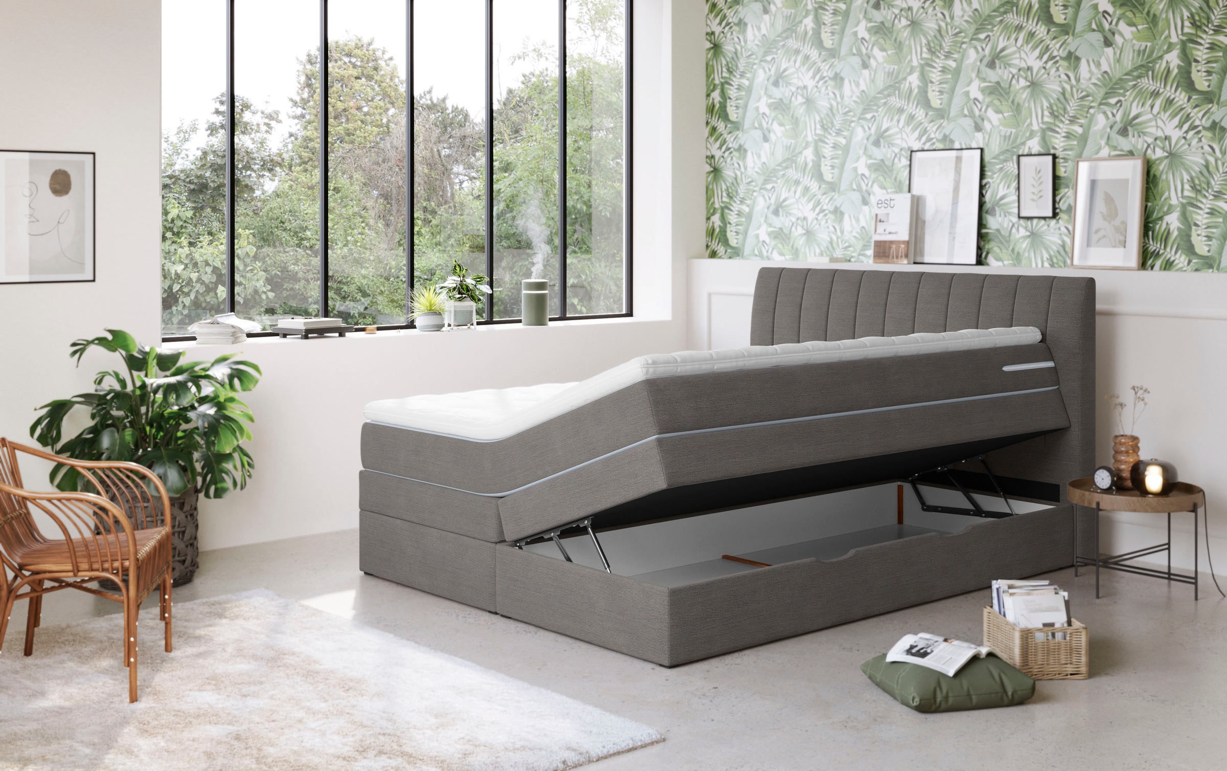 COTTA Lit boxspring »Shark inkl. Bettkasten und Topper« erhältlich in den Breiten 140x200cm, 160x200cm und 180x200cm