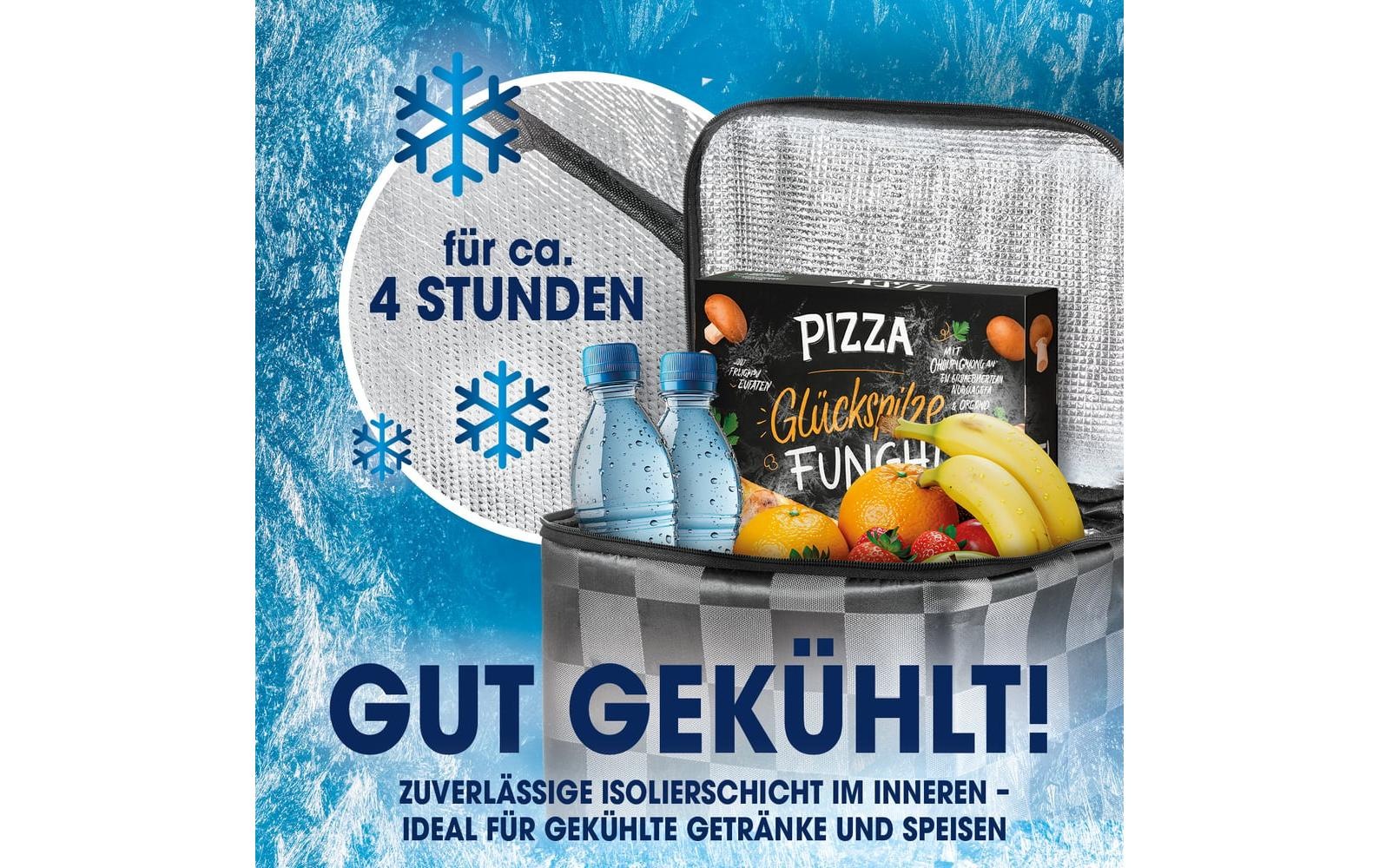 EASYmaxx Chariot à provisions »52 l« Faltbarer Einkaufstrolley mit Kühltasche