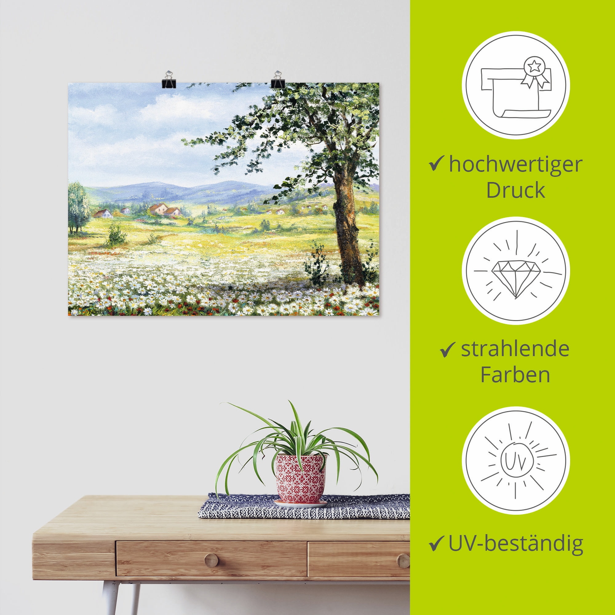 Artland Poster »Margeritenfeld« Wiesen & Bäume 1 Stk. tlg. ohne Rahmen