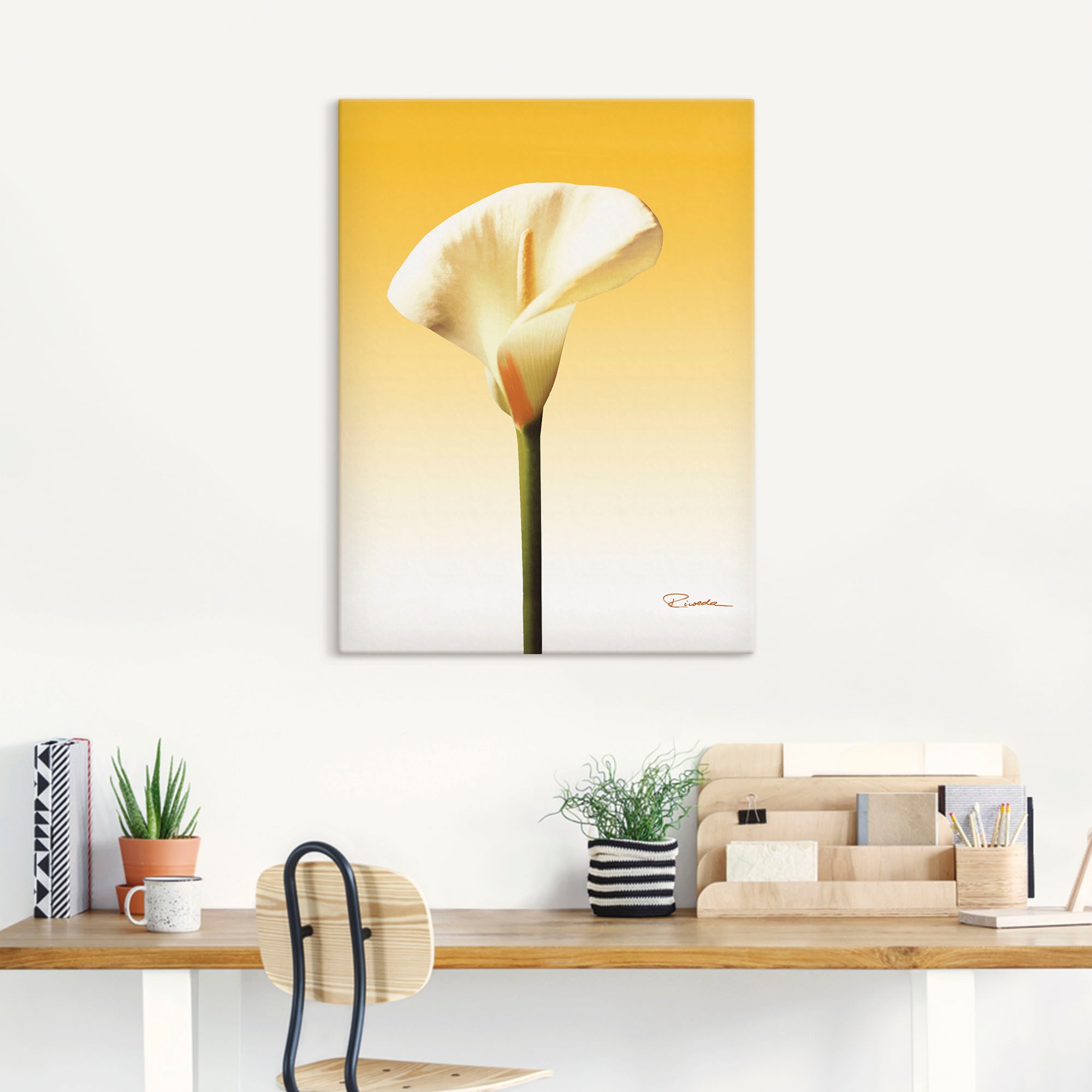 Artland Leinwandbild »Sonnenschein Calla II« Blumenbilder 1 Stk. tlg. auf Holzrahmen gespannt