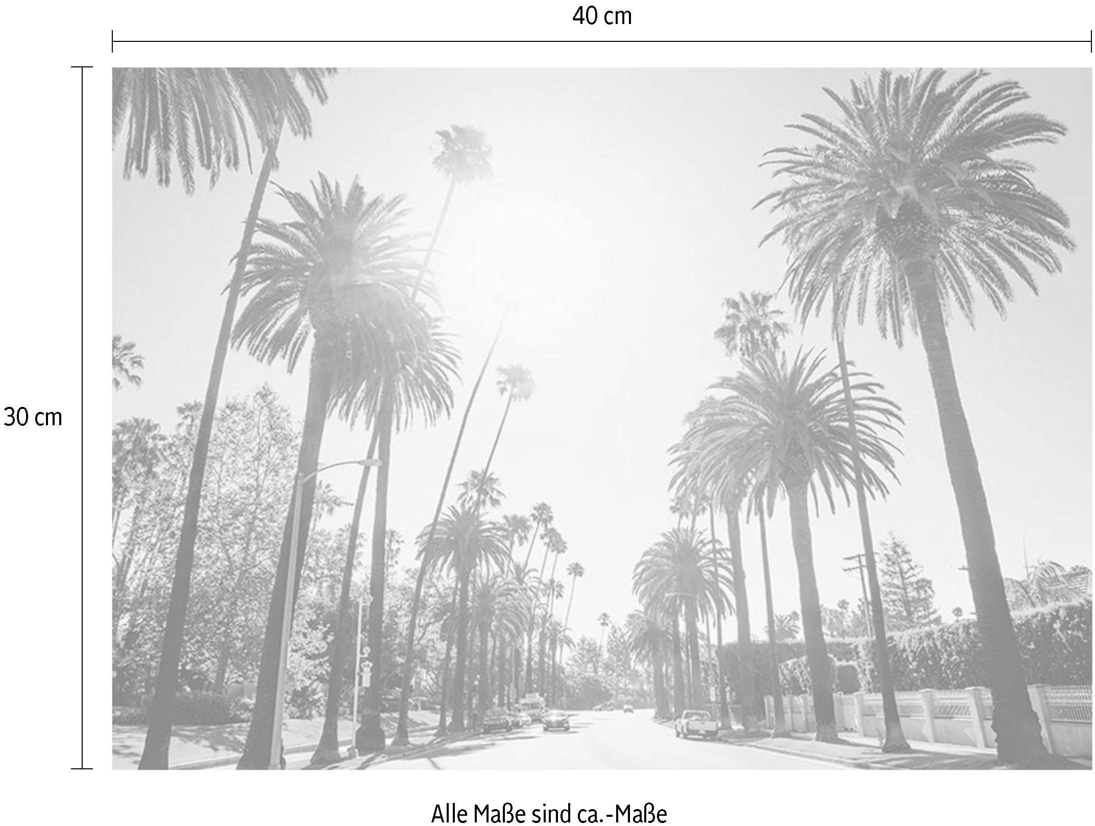 Komar Bild »Palm Alley« Städte 1 Stk. tlg. Wandbild zur Dekoration - ohne Rahmen