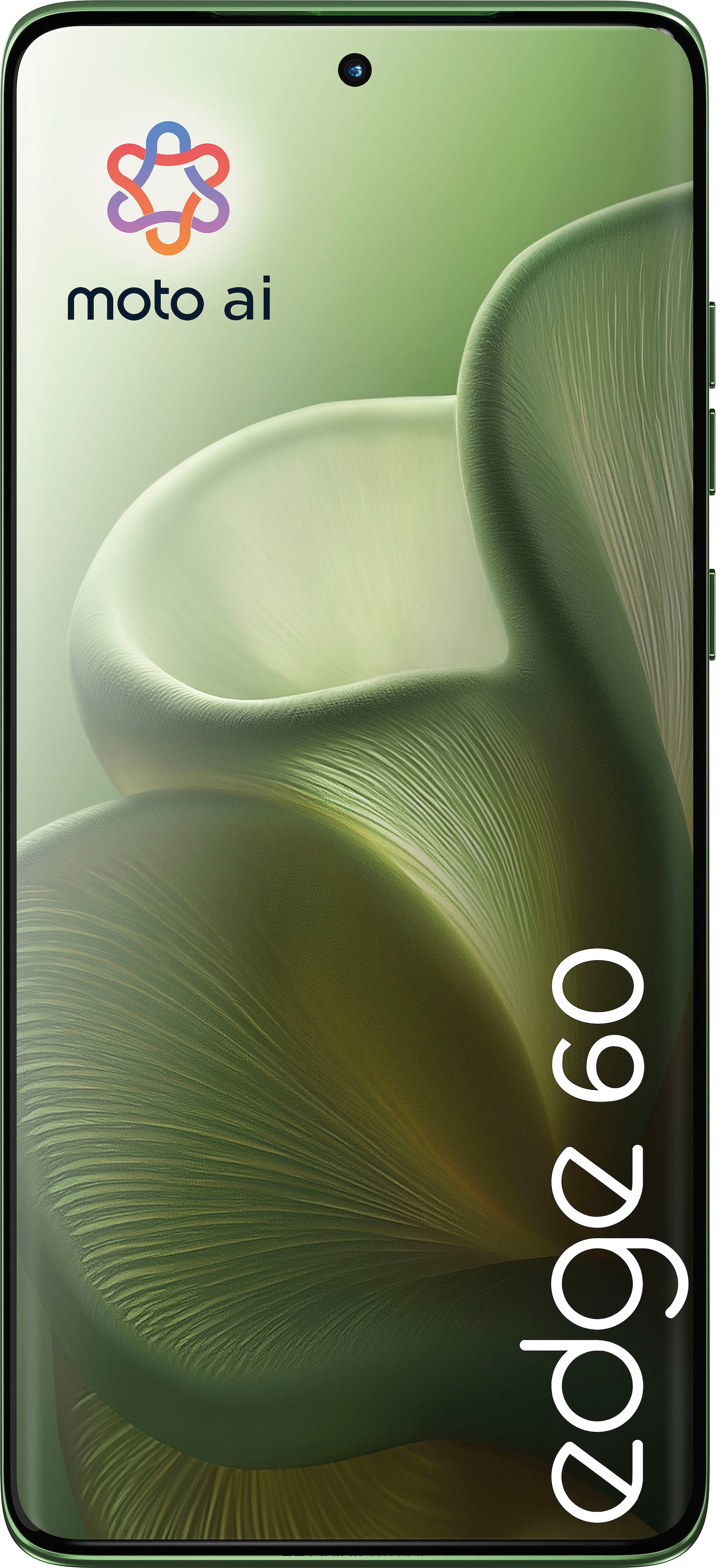 Motorola Smartphone »Edge 60 512GB« Pantone® Shamrock