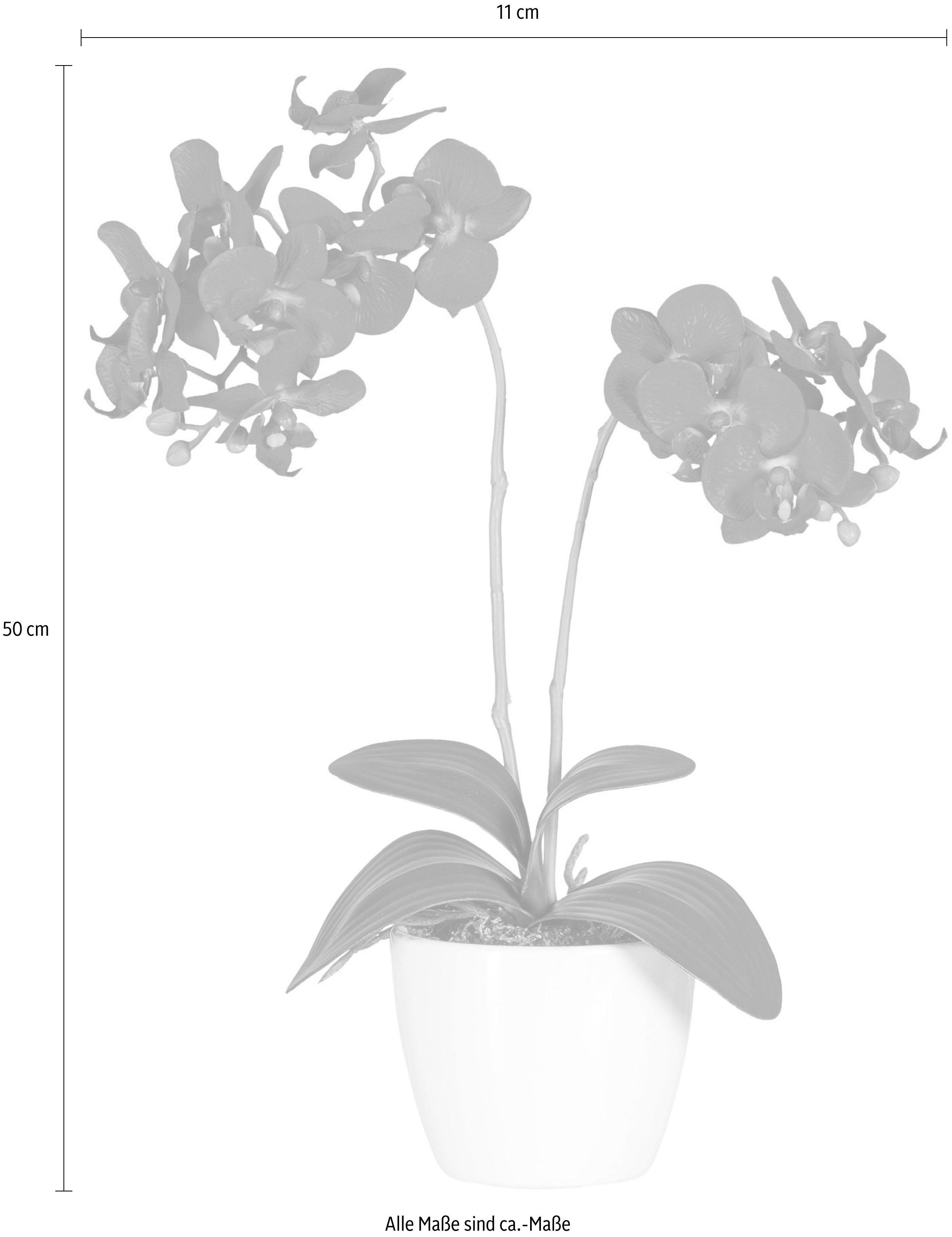 Creativ green Plante artificielle »Phalaenopsis«
