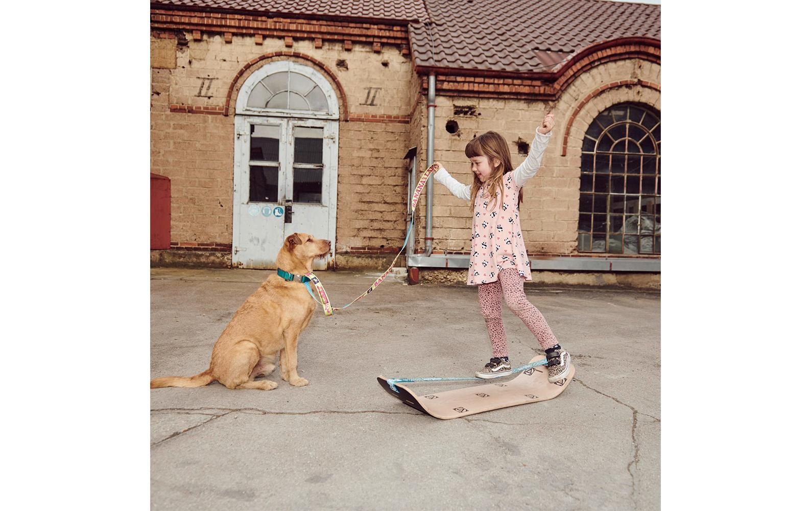 Gibbon Planche d'équilibre »Slackboard Set Roots Rocker Trave l Set Buche«