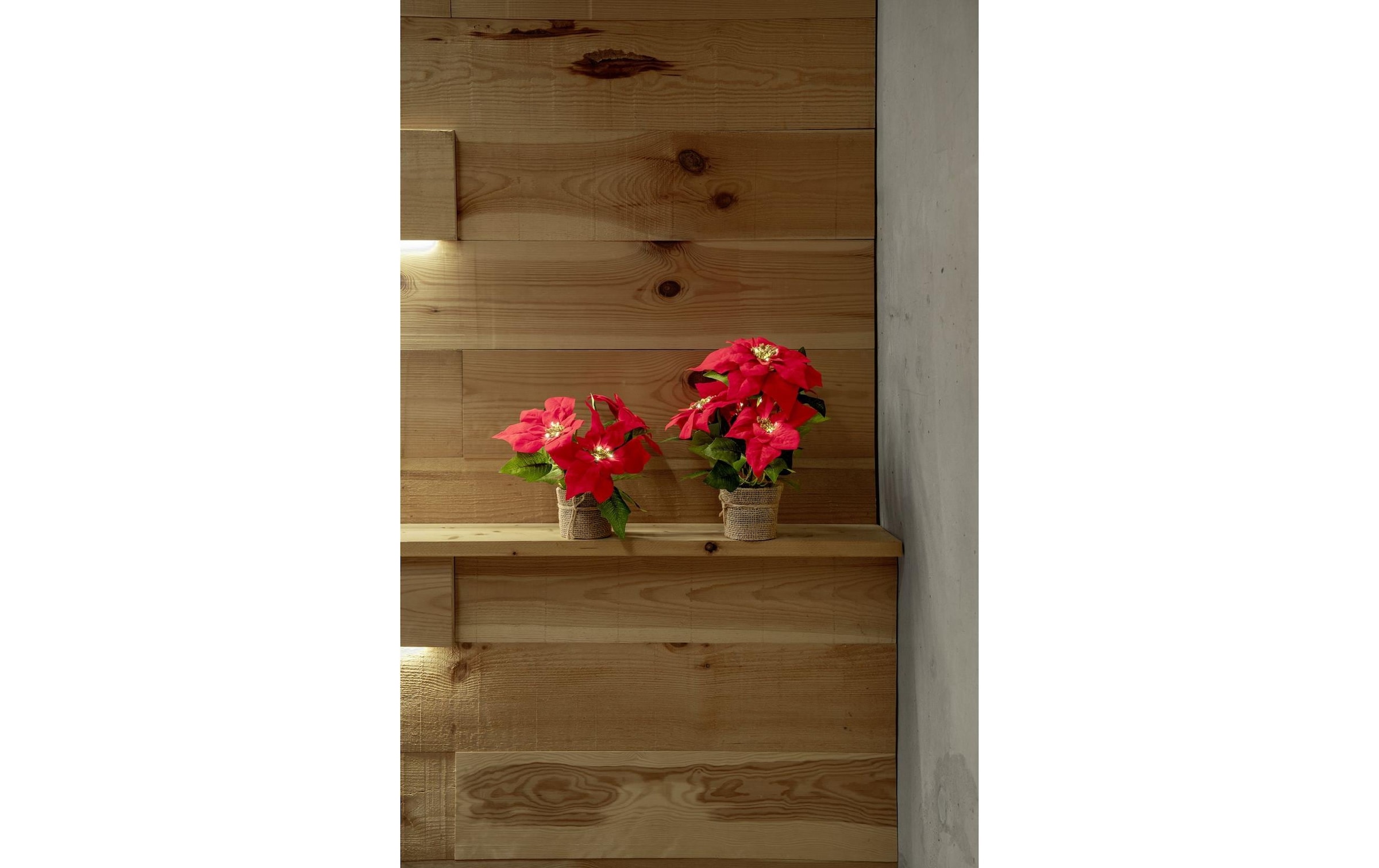 STT LED Baum »Poinsettia« 1 Stk.