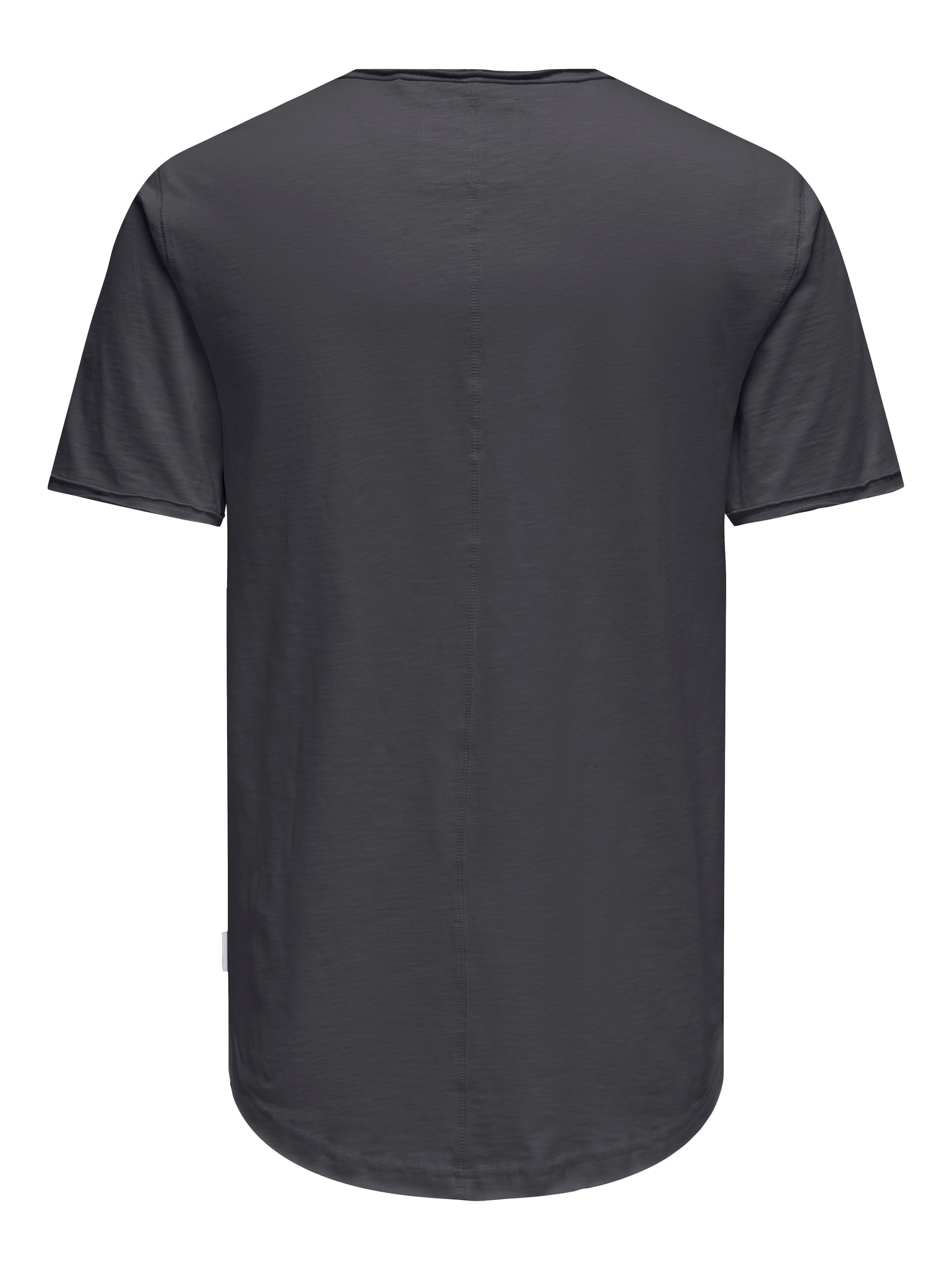 ONLY & SONS Rundhalsshirt »ONSBENNE LONGY SS TEE NF 7822 NOOS«