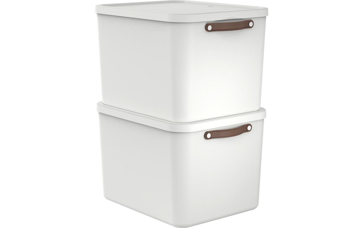 ROTHO Boîte de rangement »Rotho Aufbewahrungsbox MALOJA 55 l, 2 Stück«
