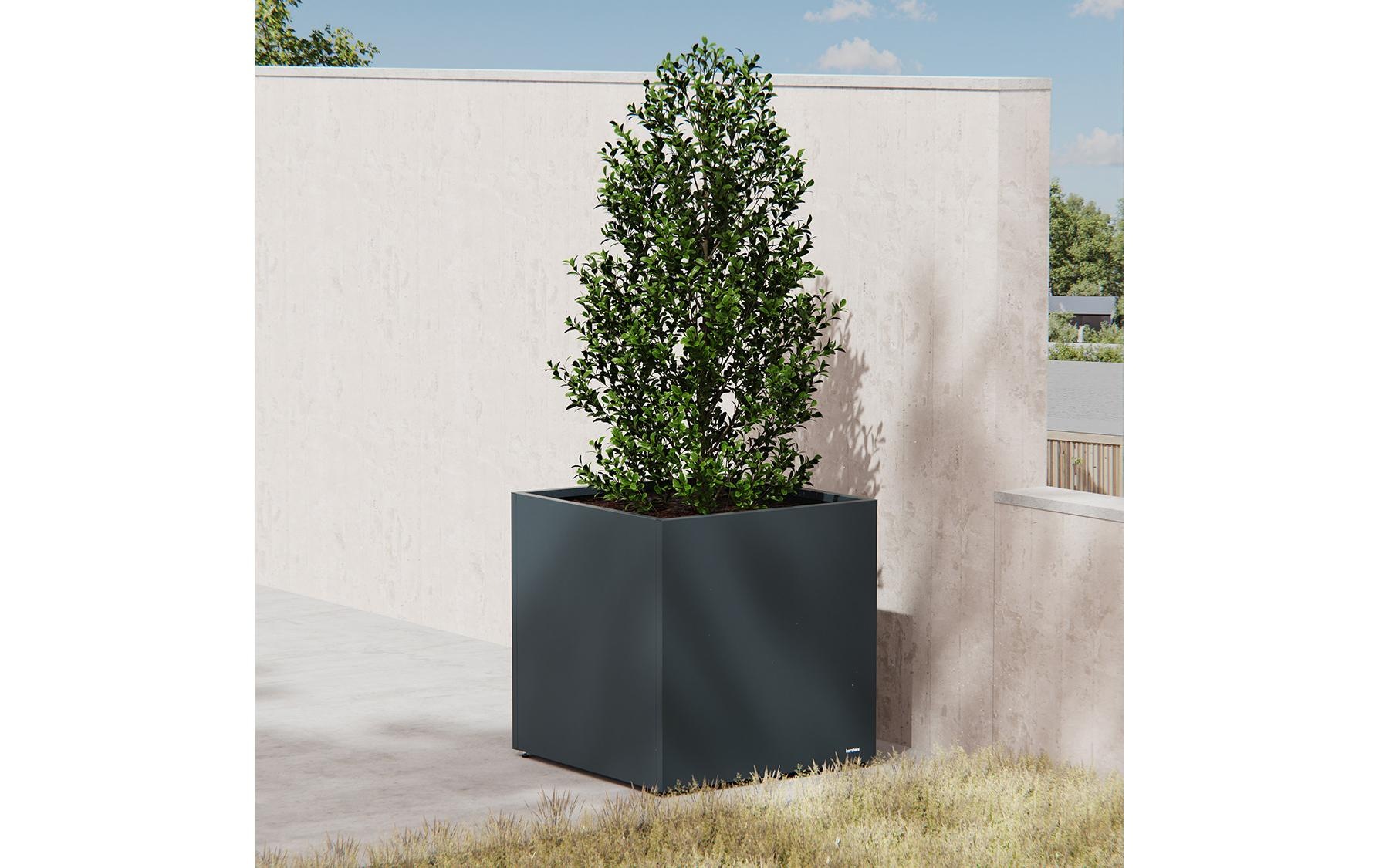 Herstera Garden Pflanzkübel »Metall Würfel«