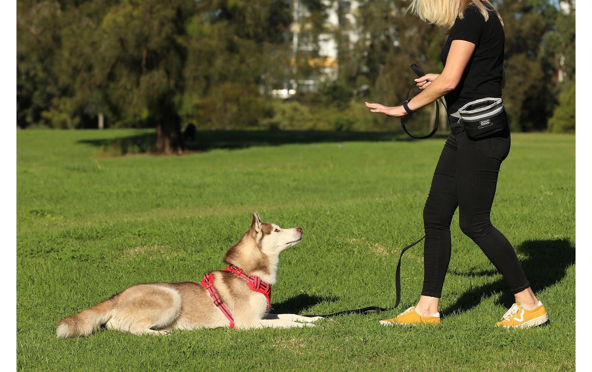 DOOG Bauchtasche »Pouch L«