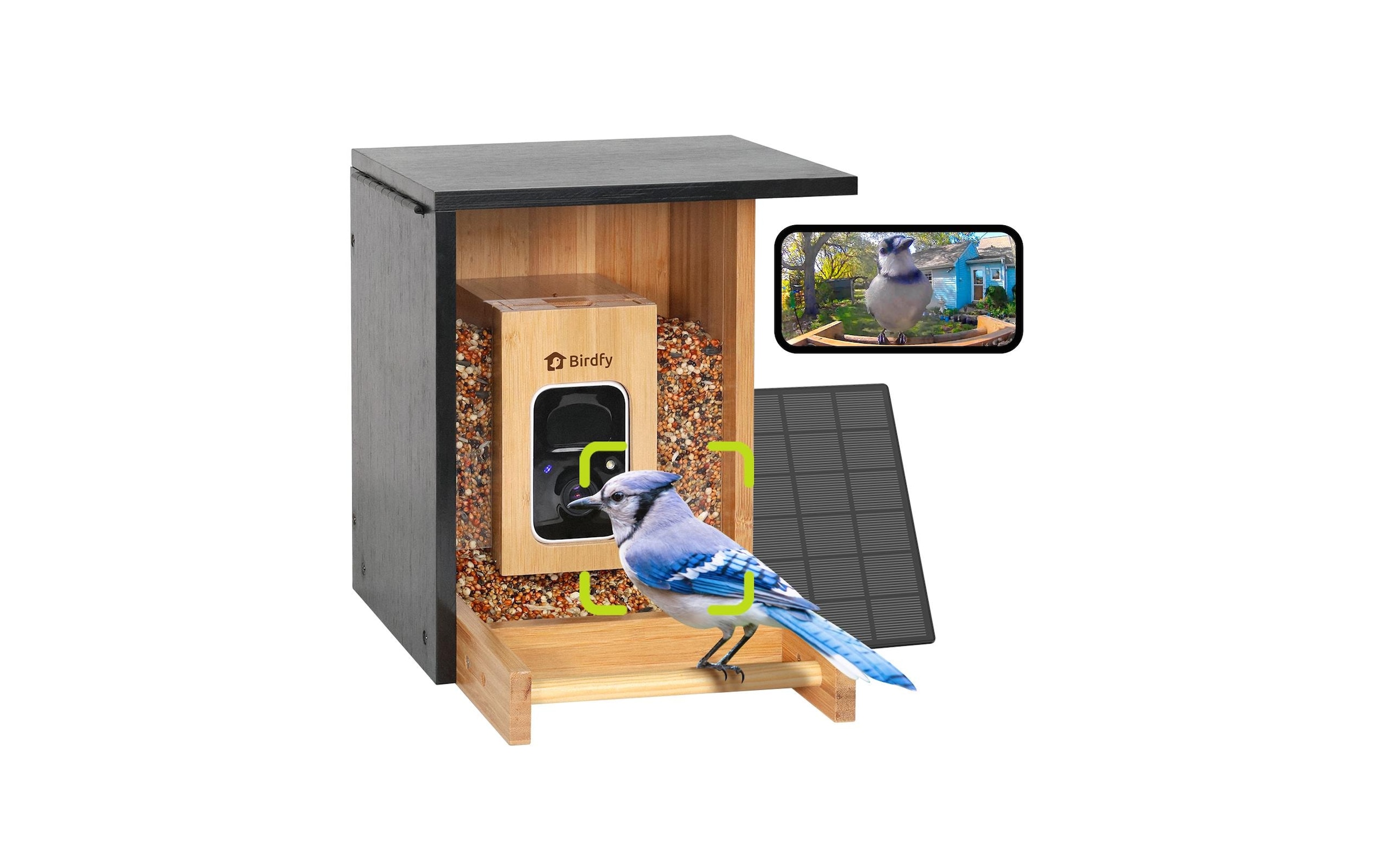 Birdfy Distributeur de nourriture »FSC Bambus Mini Solar«