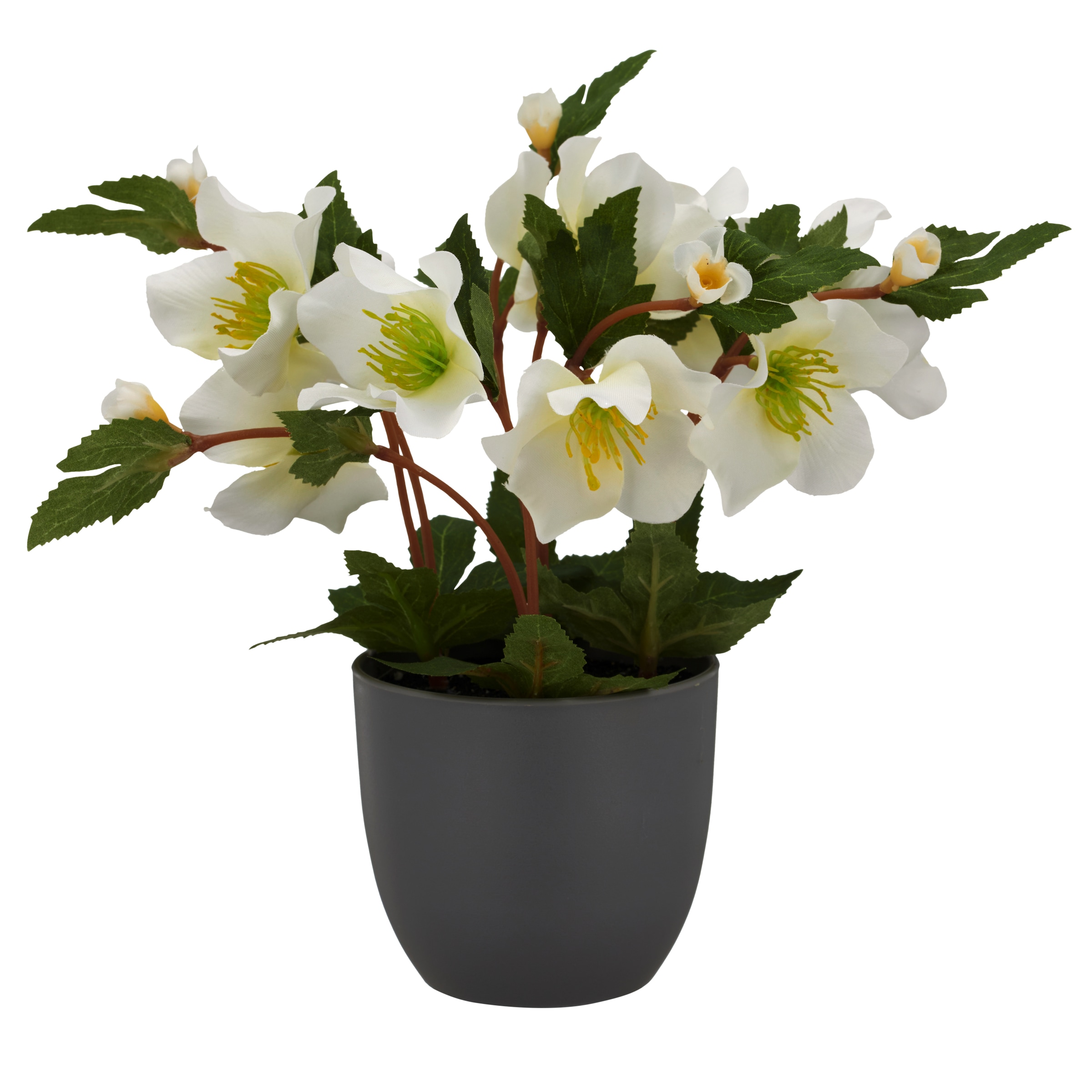 Creativ green Kunstblume »Christrose« mit üppiger Blütenpracht