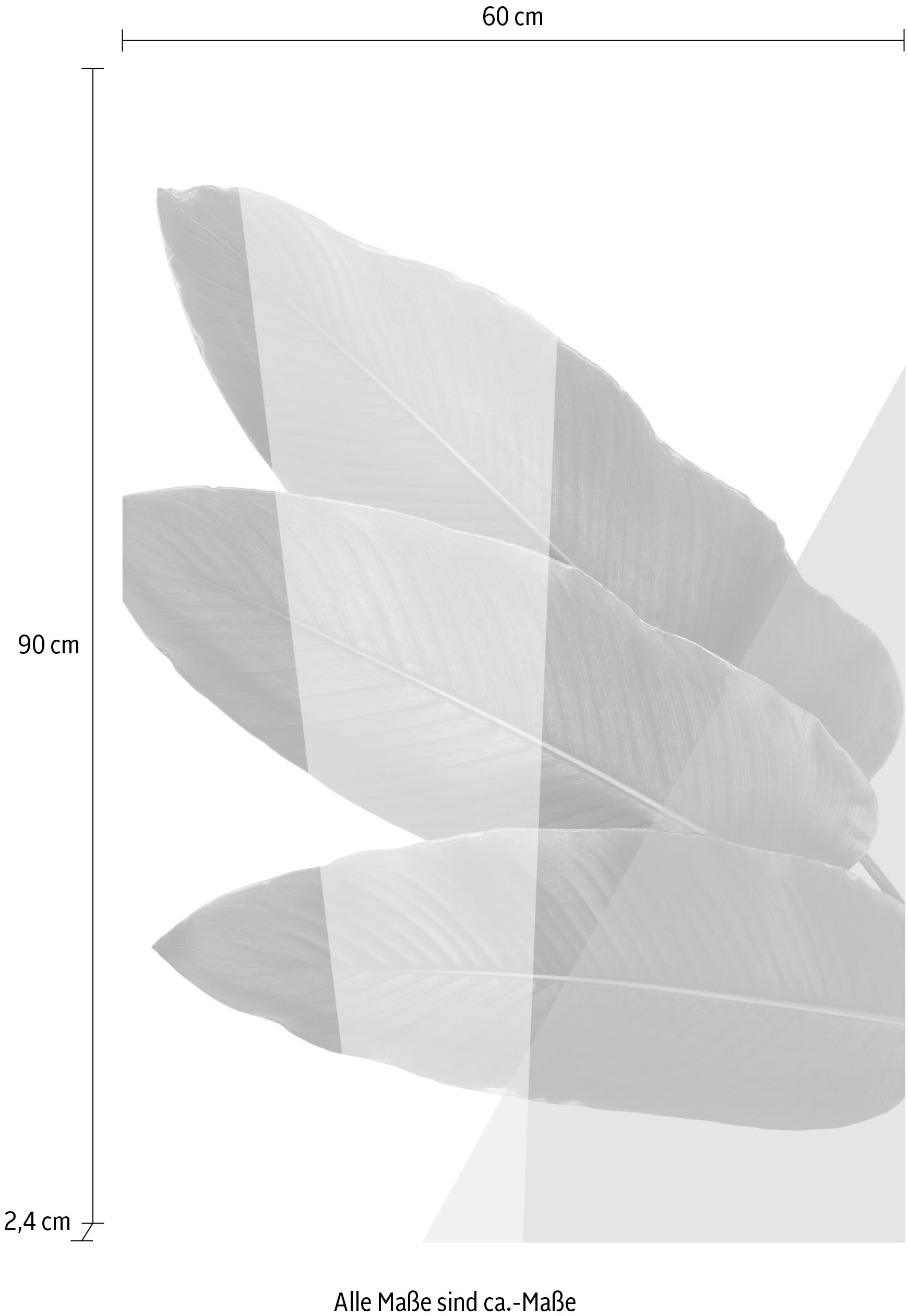 queence Tableau en verre acrylique »Blätter« Art | Feuilles | Images de feuilles | Images de plantes | Plantes impression Fine Art de qualité galerie