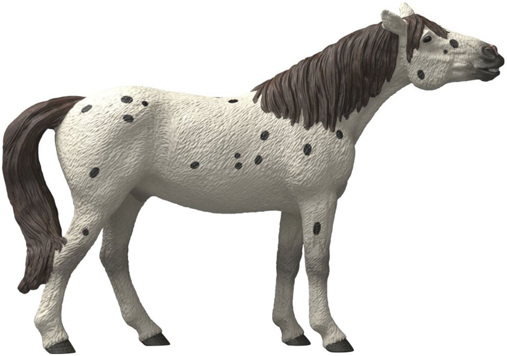 Schleich® Personnage de jeu »HORSE CLUB, Knabstrupper Wallach (14916)«