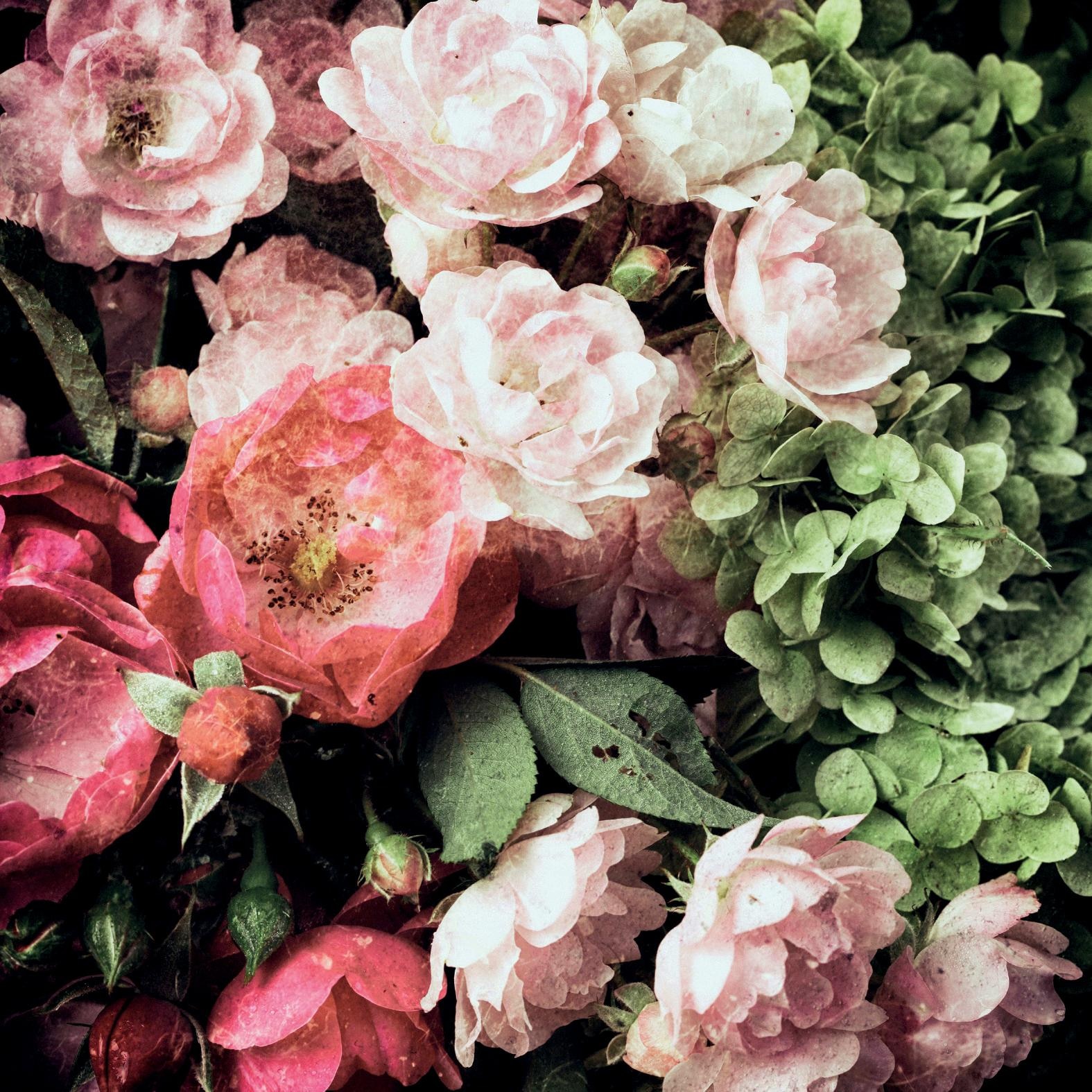 queence Dekokissen »Blüten« Kissenhülle ohne Füllung, 1 Stück