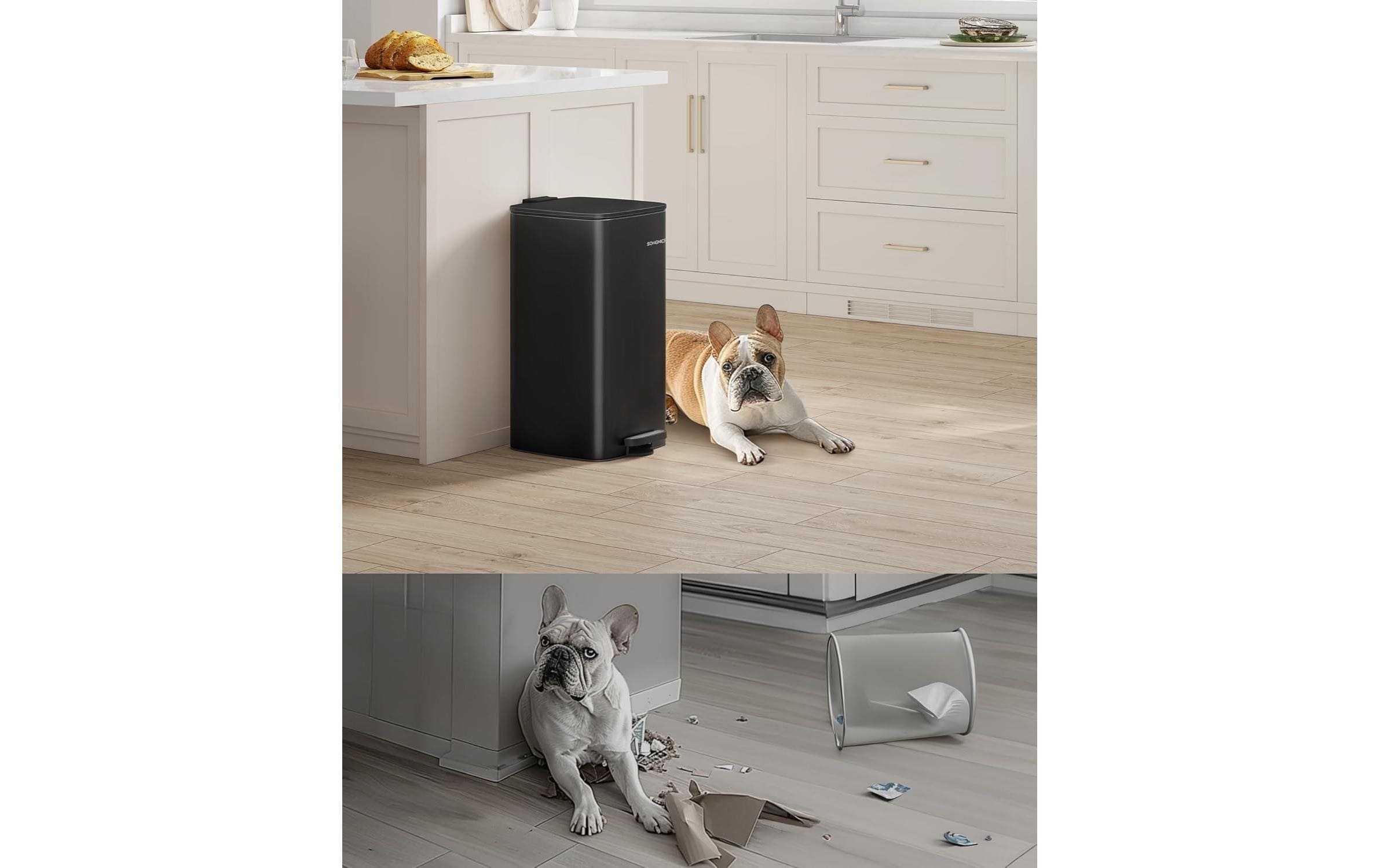 SONGMICS Mülleimer »20 l« 1 Behälter