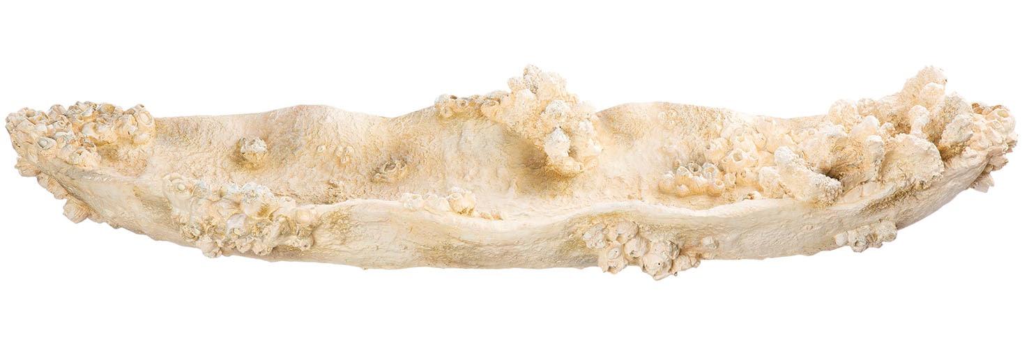 GILDE Dekoschale »Schale Amphora Seychelles weiss H. 10,5 cm«