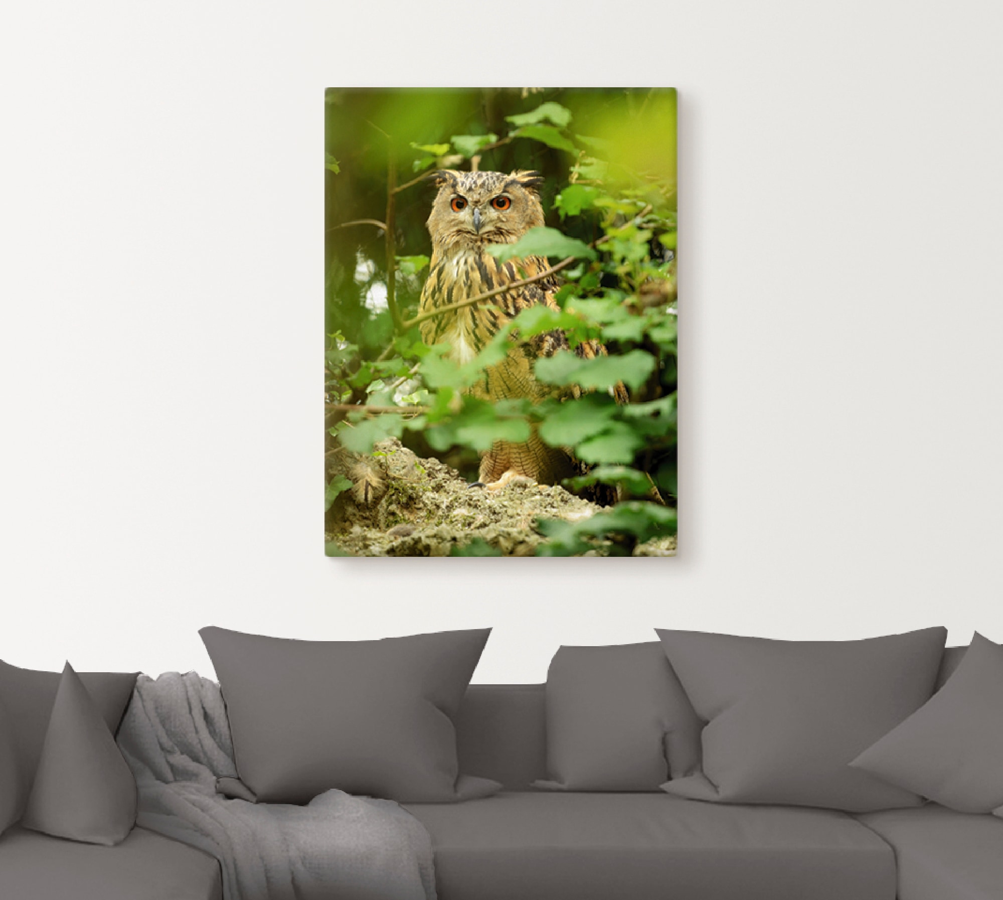 Artland Wandbild »Vogel Uhu« Vögel 1 Stk. tlg. als Leinwandbild, Poster in verschied. Grössen