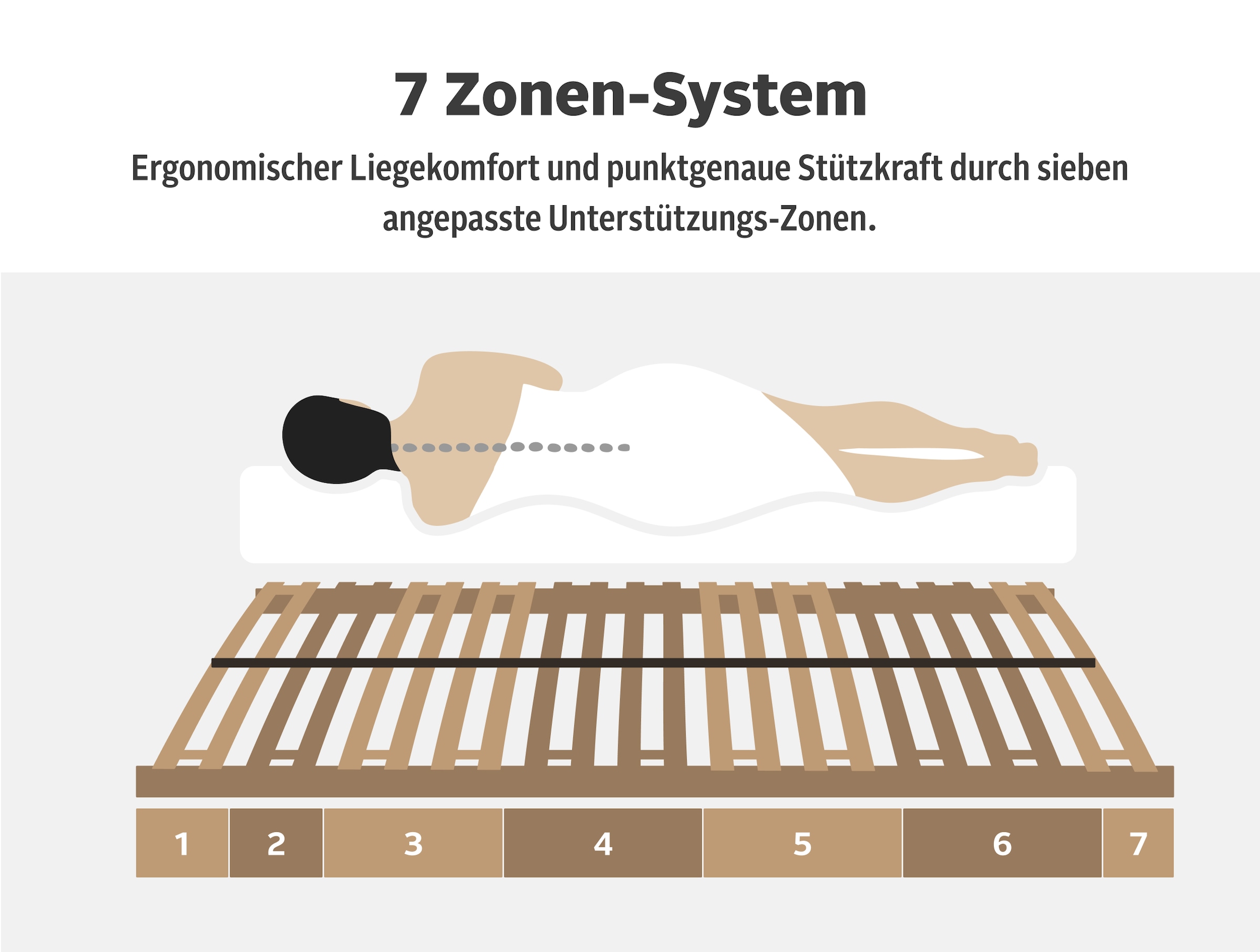 Älgdröm Sommier à lattes »Tronfjell, 90x200, 140x200 cm und weiteren Grössen« Lattenrost für alle Matratzen, langlebig, ergonomisch, 7-Zonen