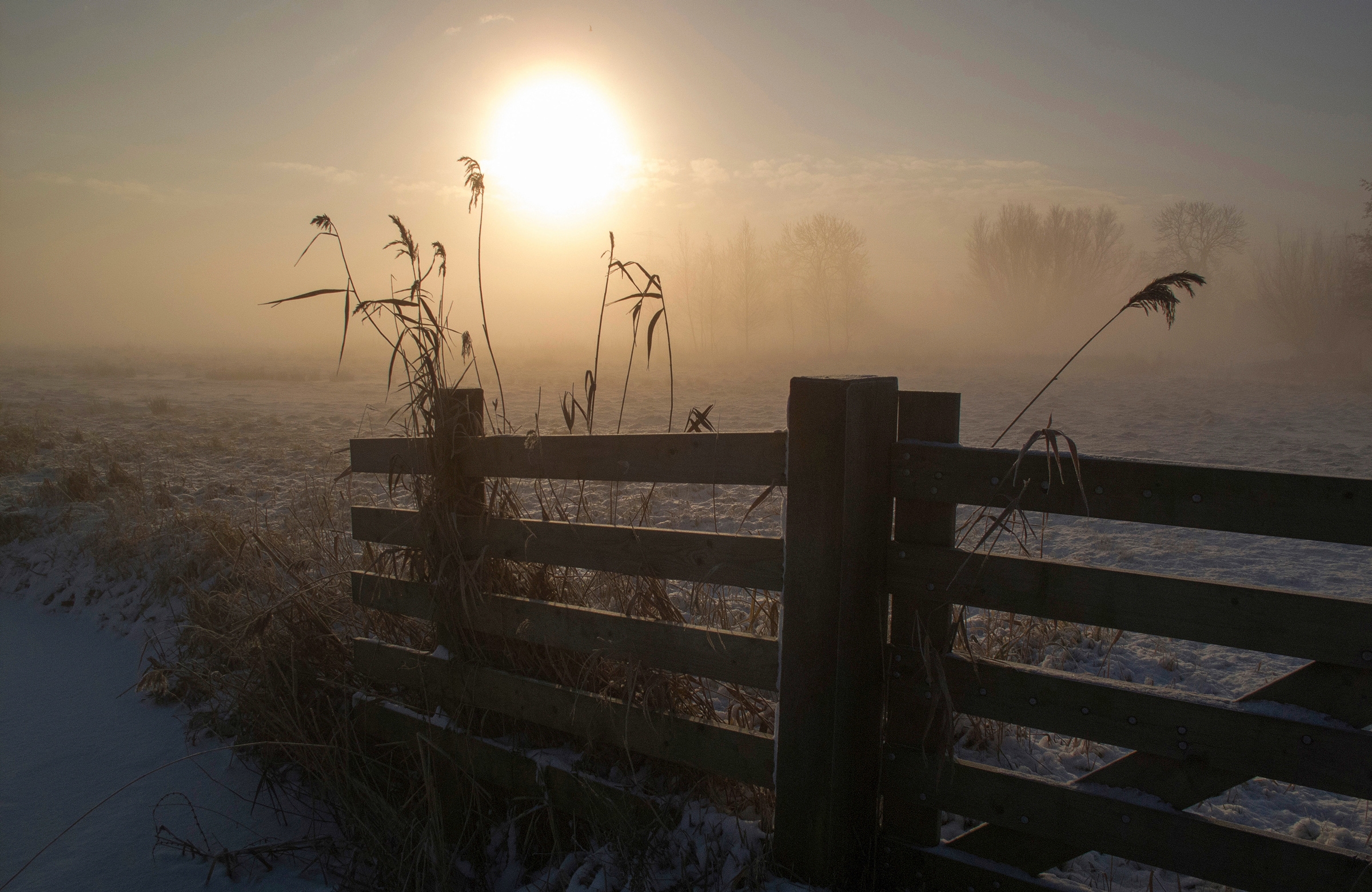 Papermoon Papier peint photo »Photo-Art Wiese mit Gatter«