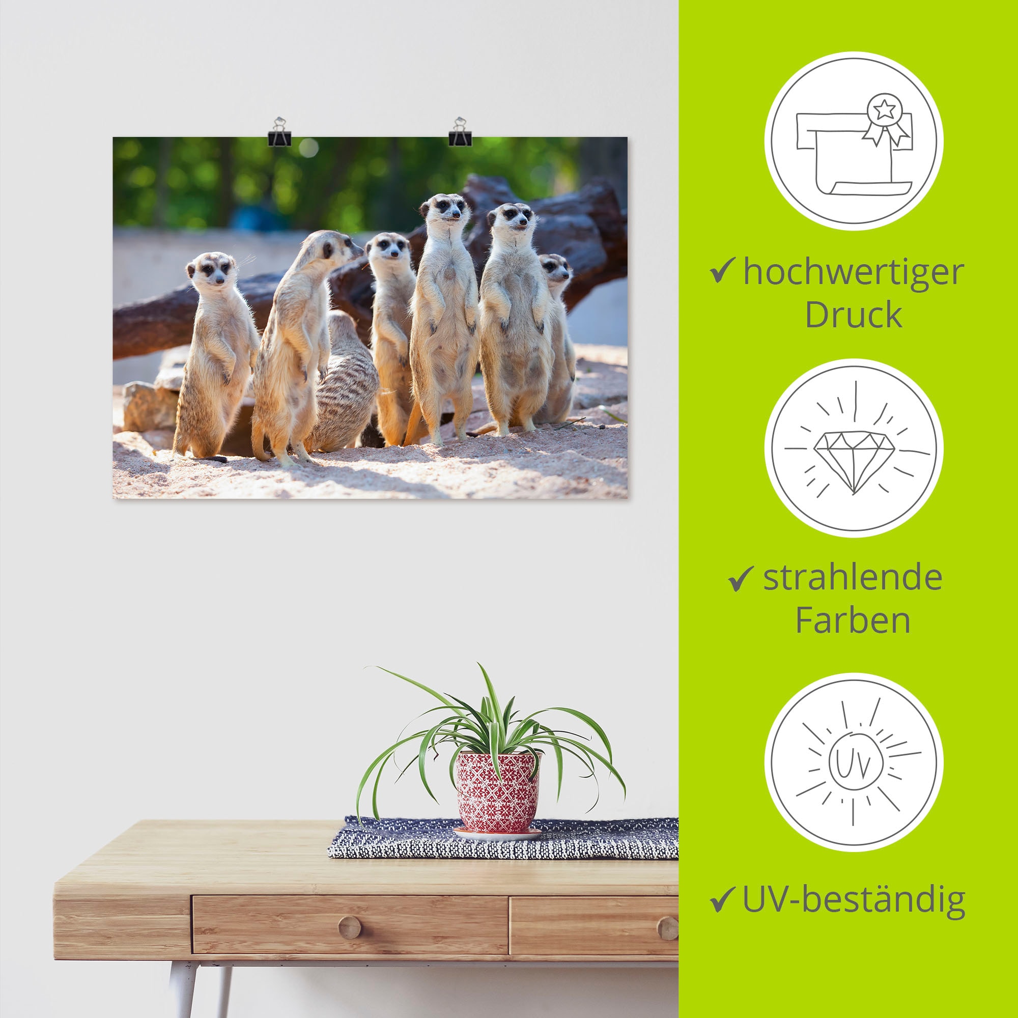 Artland Poster »Erdmännchenfamilie« Wildtiere 1 Stk. tlg. ohne Rahmen