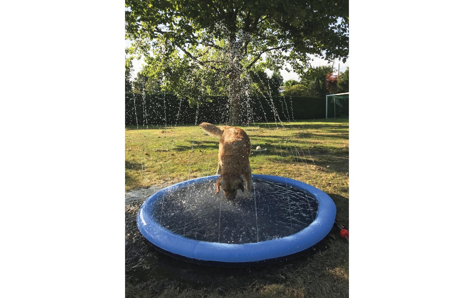 Nobby Hundepool »Splash, Ø 150 cm«