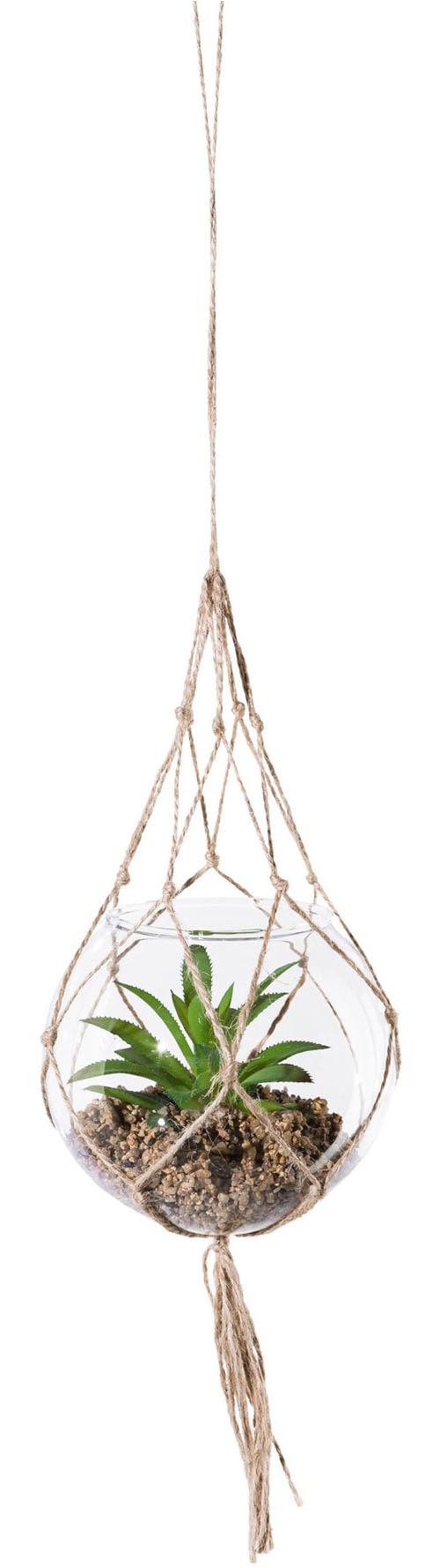 Creativ green Kunstpflanze »Sukkulenten« mit Makramee-Aufhängung