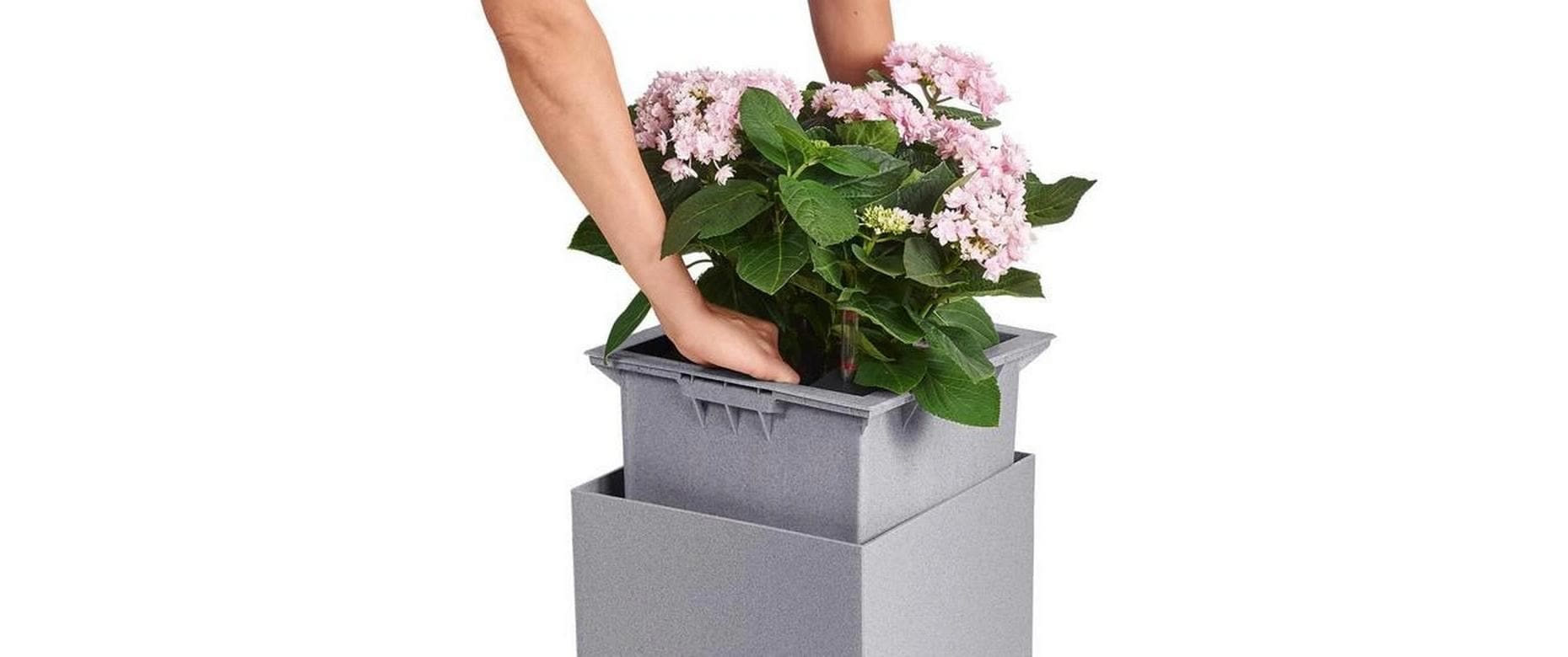   Bac à plantes »Lechuza CANTO Stone 30 high«