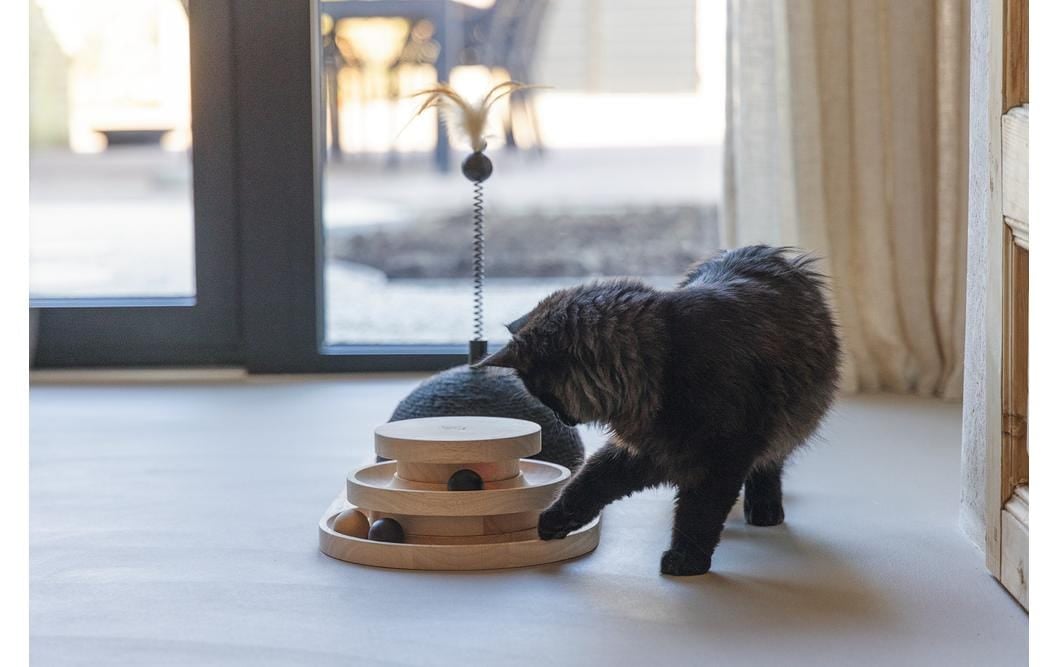 Designed By Lotte Rail de jeu pour chats »Maia«