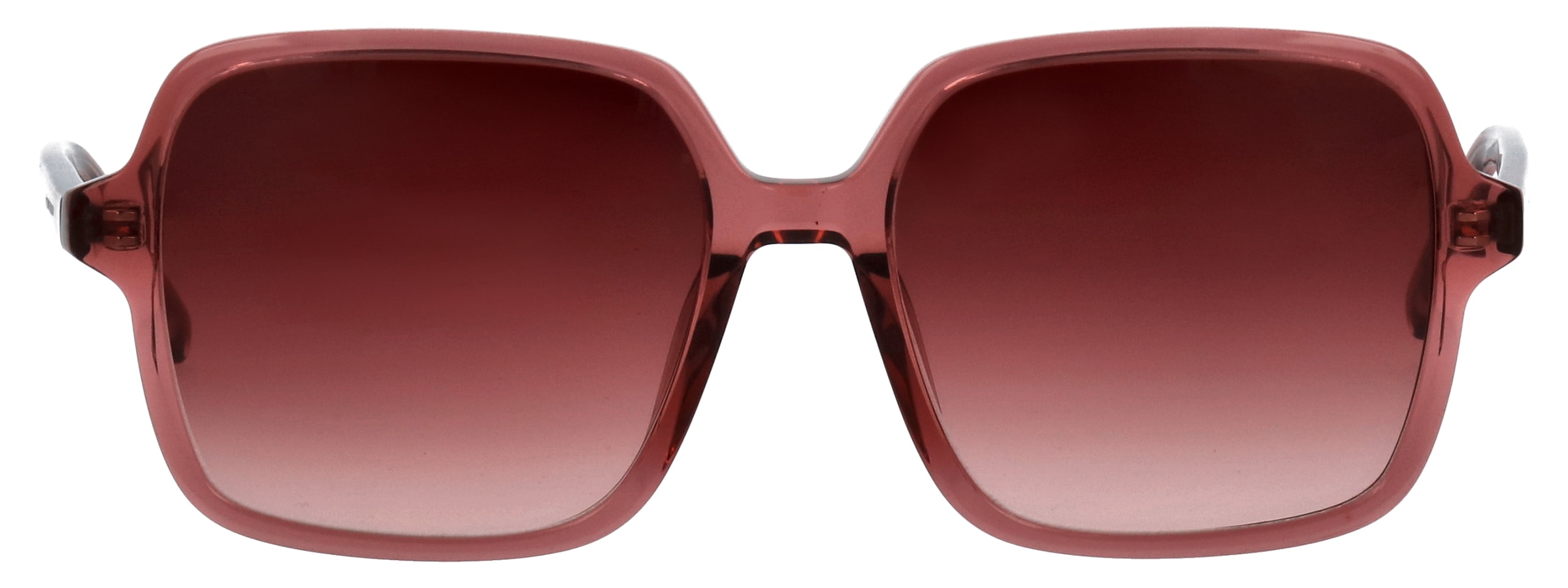 TOM TAILOR Lunettes de soleil »Modell 676007« Form Feminin, Logoschriftzug auf Bügel, Kunststofffassung