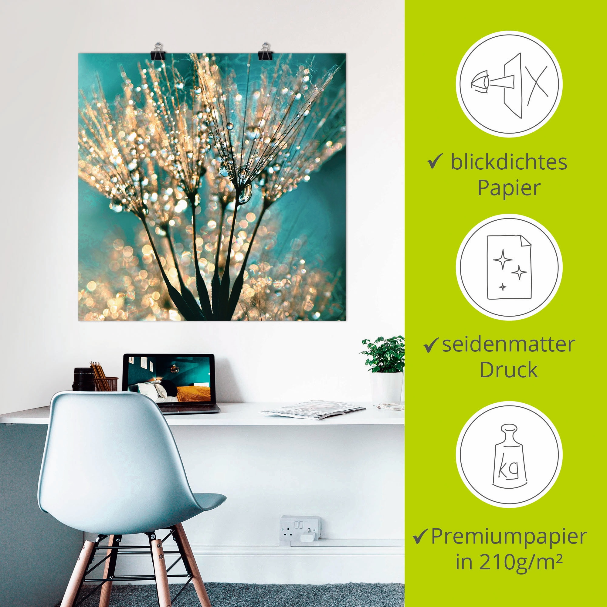 Artland Wandbild »Pusteblume Schirmchen abstrakt« Blumen 1 Stk. tlg. als Leinwandbild, Poster in verschied. Grössen