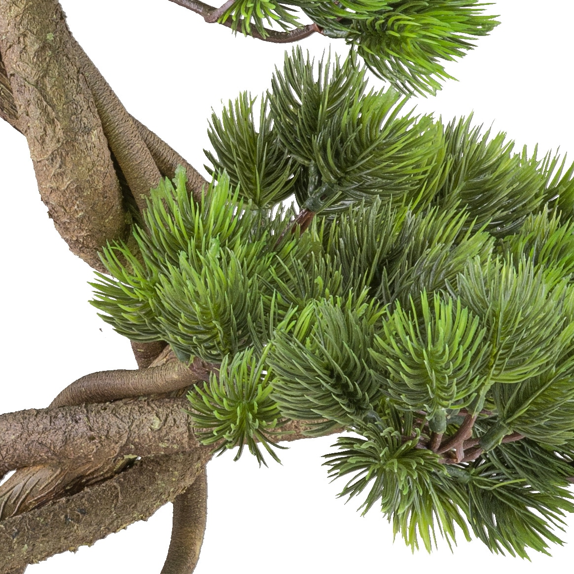 Creativ green Kunstbonsai »Bonsai Kiefer« mit elegantem Stamm