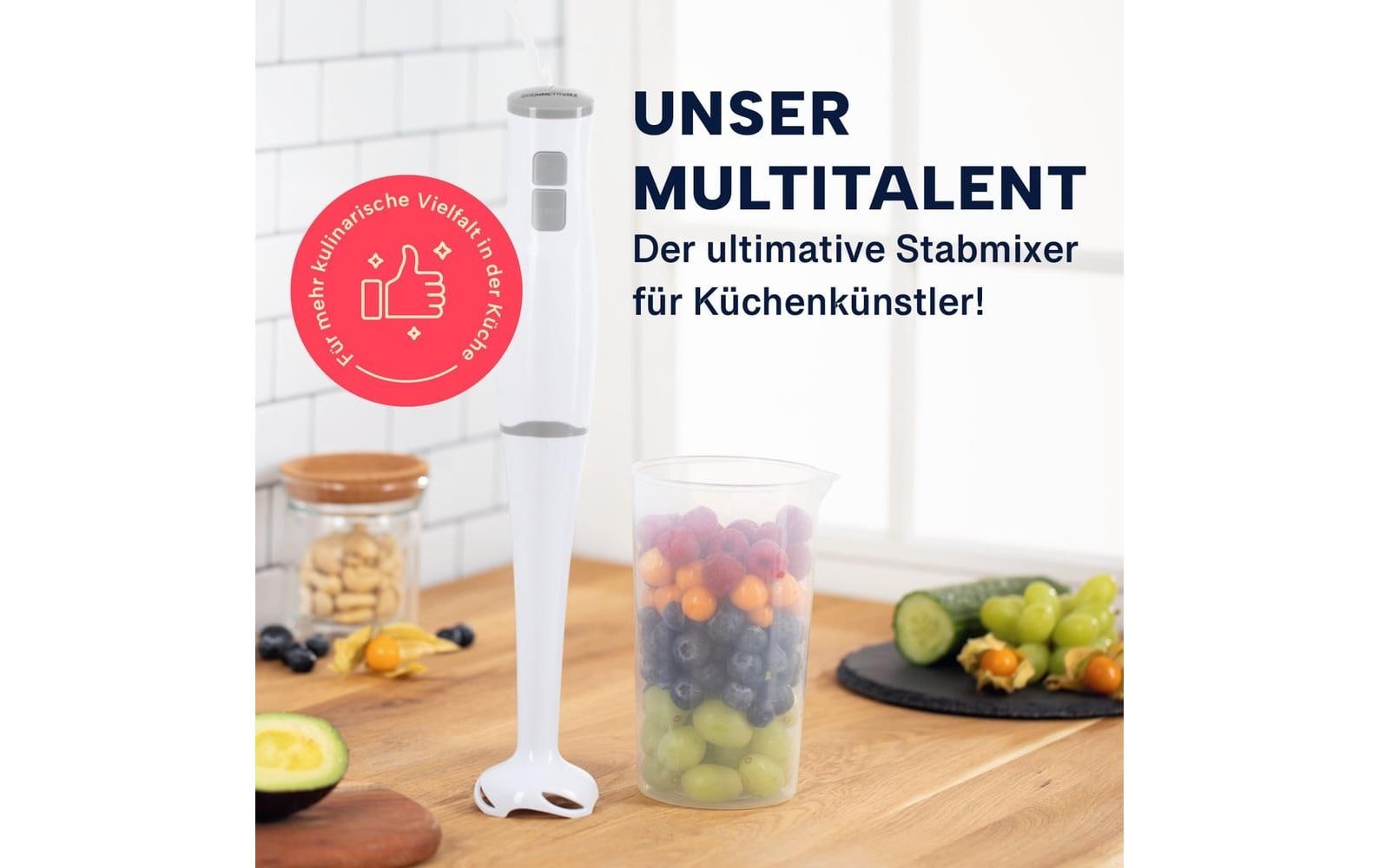 GOURMETmaxx Stabmixer »13767 Weiss« 400 W Kraftvoller Stabmixer