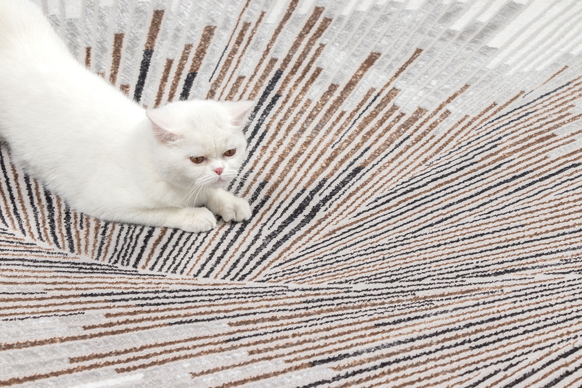 the carpet Tapis »Mila« Rectangulaire 8 mm Höhe moderner Wohnzimmer Teppich elegant glänzender Flor