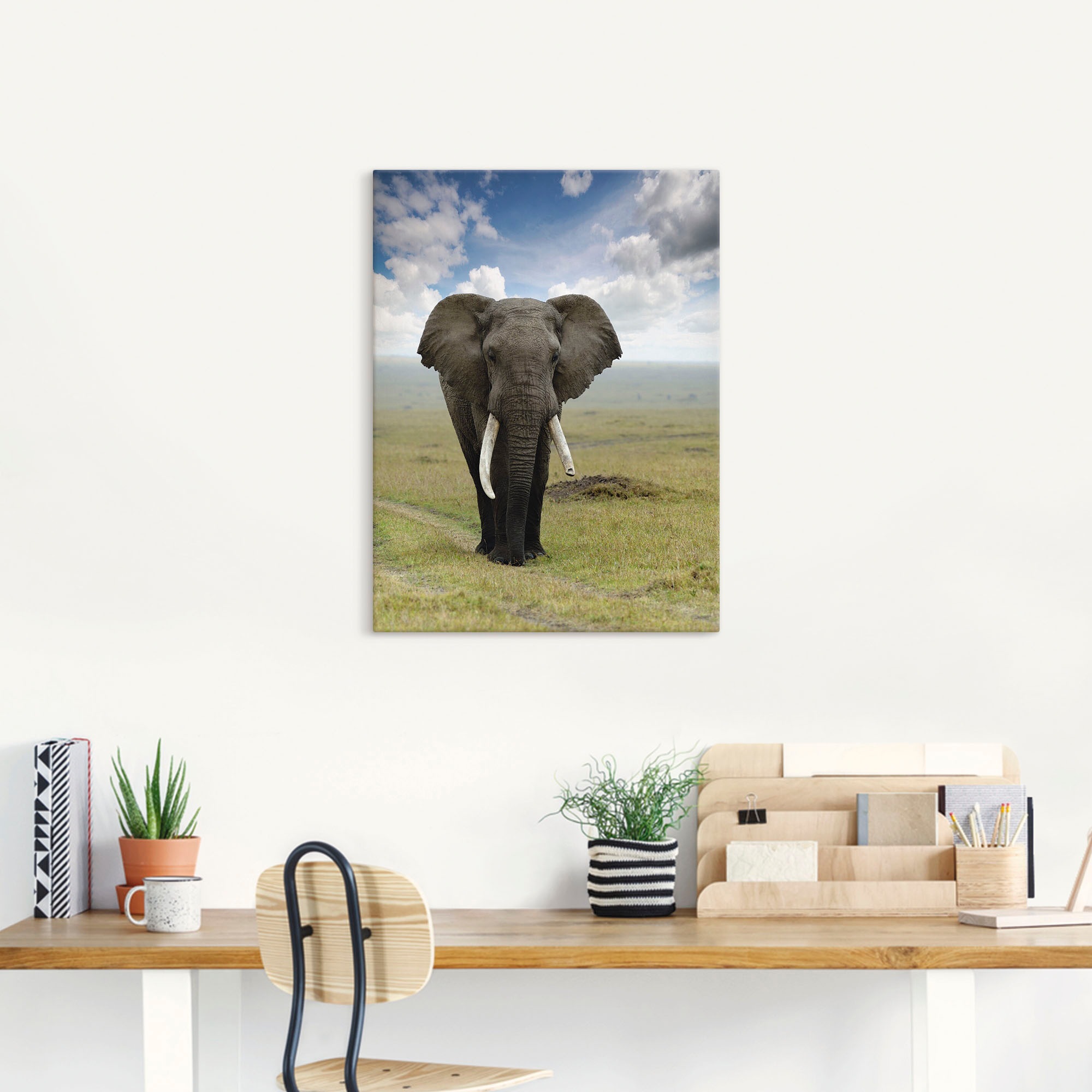 Artland Wandbild »Elefant« Wildtiere 1 Stk. tlg. als Alubild, Leinwandbild in verschied. Grössen