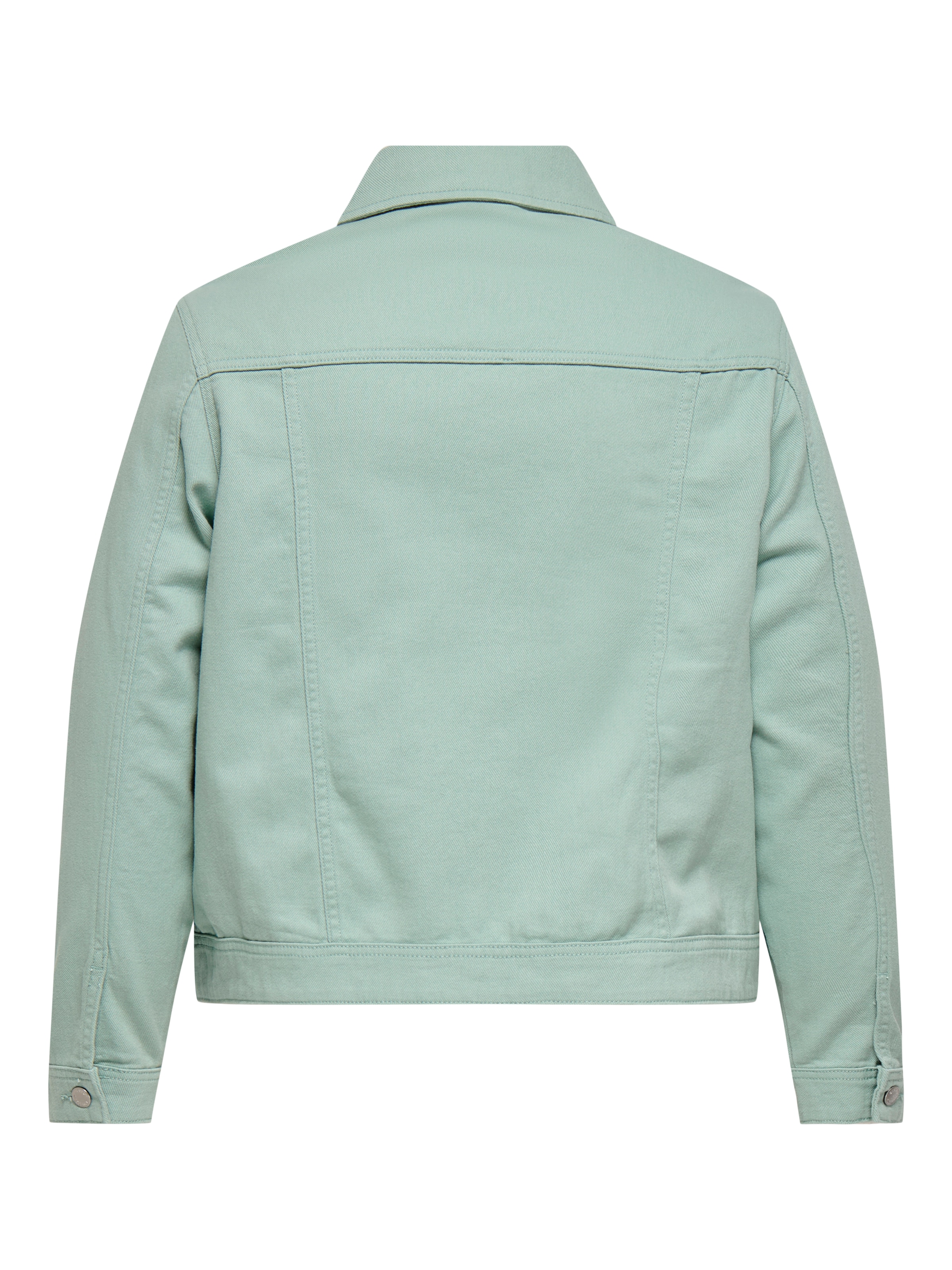 ONLY CARMAKOMA Veste en jean »CARTIA L/S COLORED JACKET CC PNT«